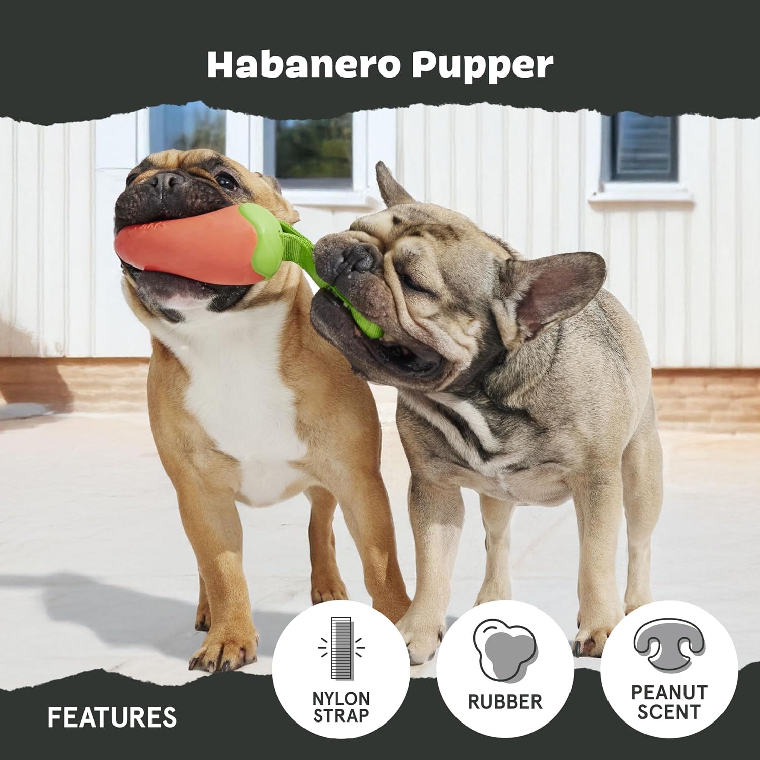 image:imageBARK Sun Power Tug Rope Toy for Dogs amp Puppies MediumHabanero PupperMedium
