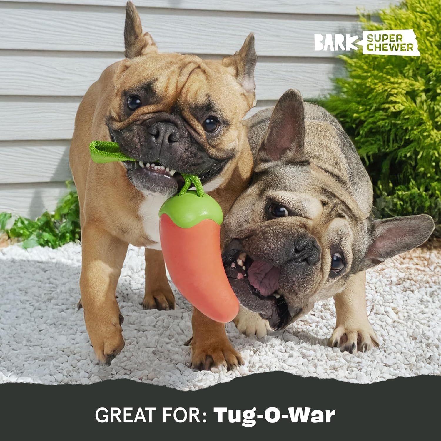 image:imageBARK Sun Power Tug Rope Toy for Dogs amp Puppies MediumHabanero PupperMedium
