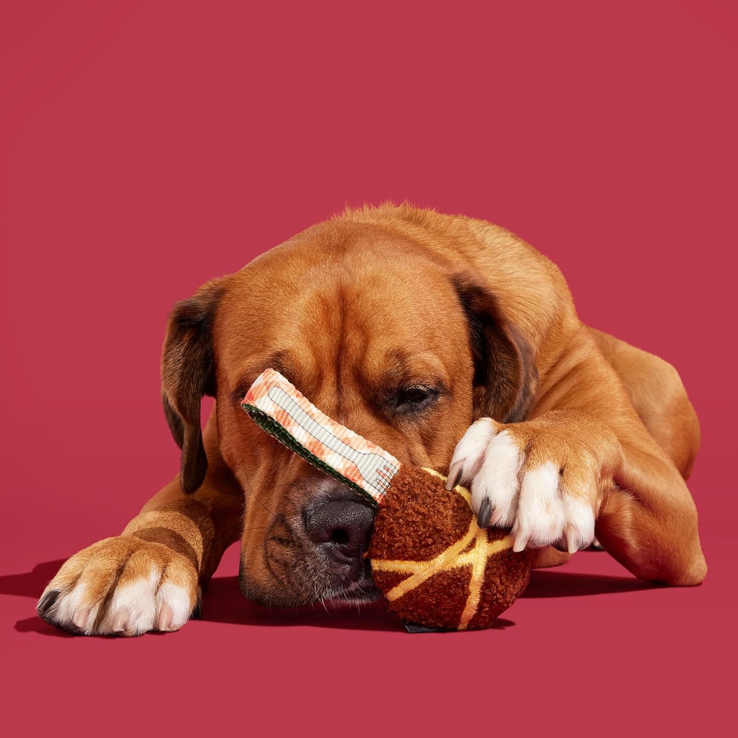 image:imageBARK Sun Power Tug Rope Toy for Dogs amp Puppies MediumMeatball Large