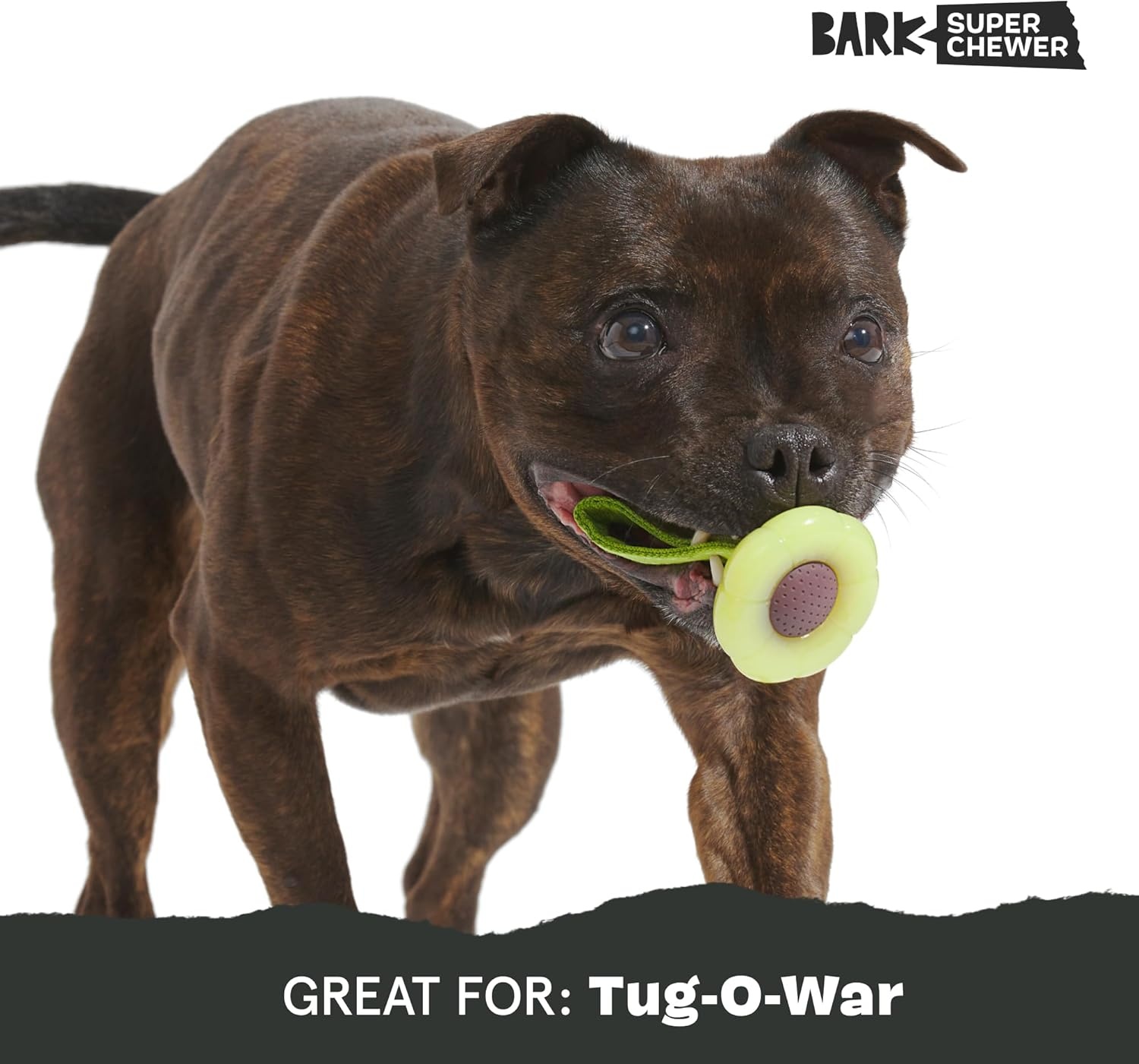 image:imageBARK Sun Power Tug Rope Toy for Dogs amp Puppies MediumSun Large