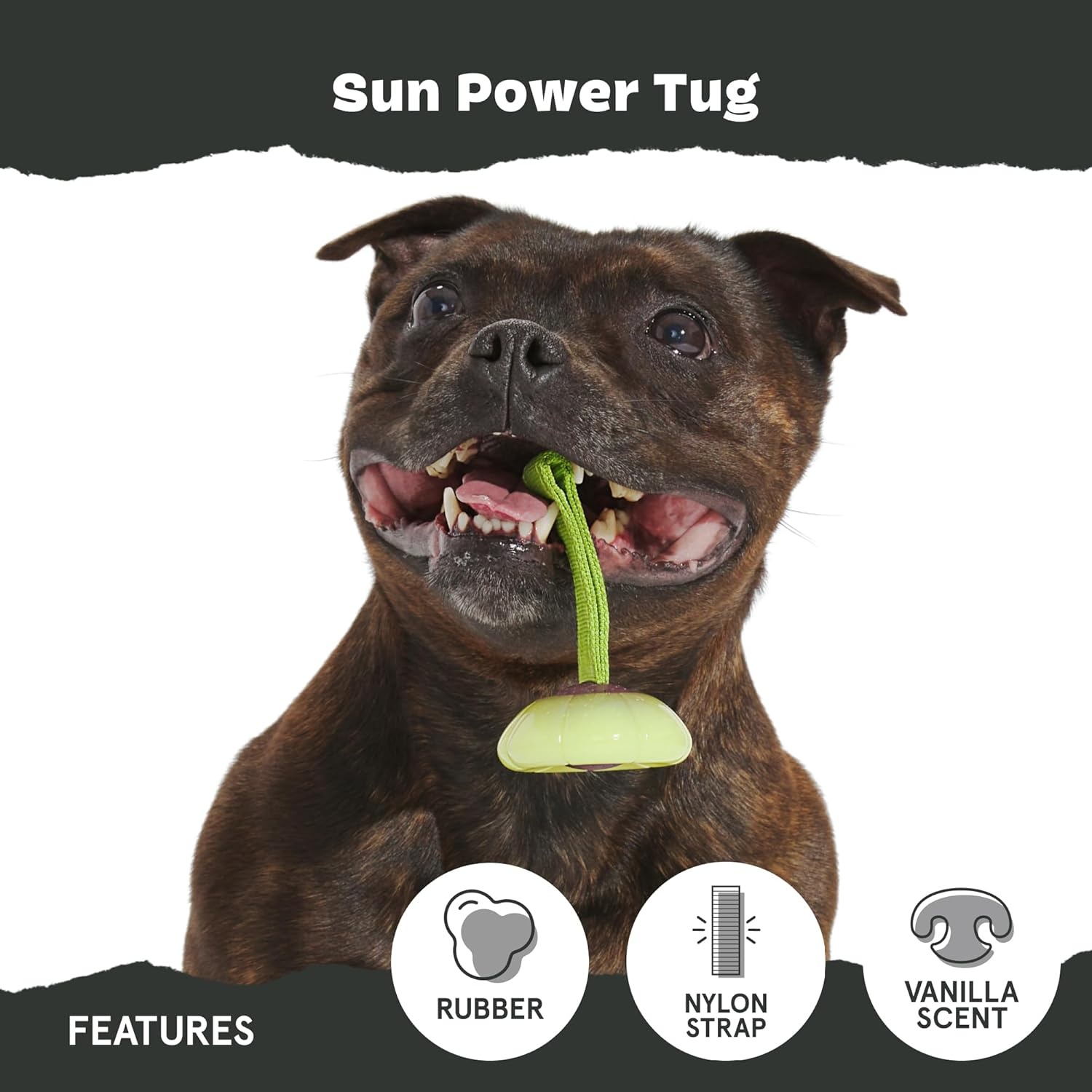 image:imageBARK Sun Power Tug Rope Toy for Dogs amp Puppies MediumSun Large