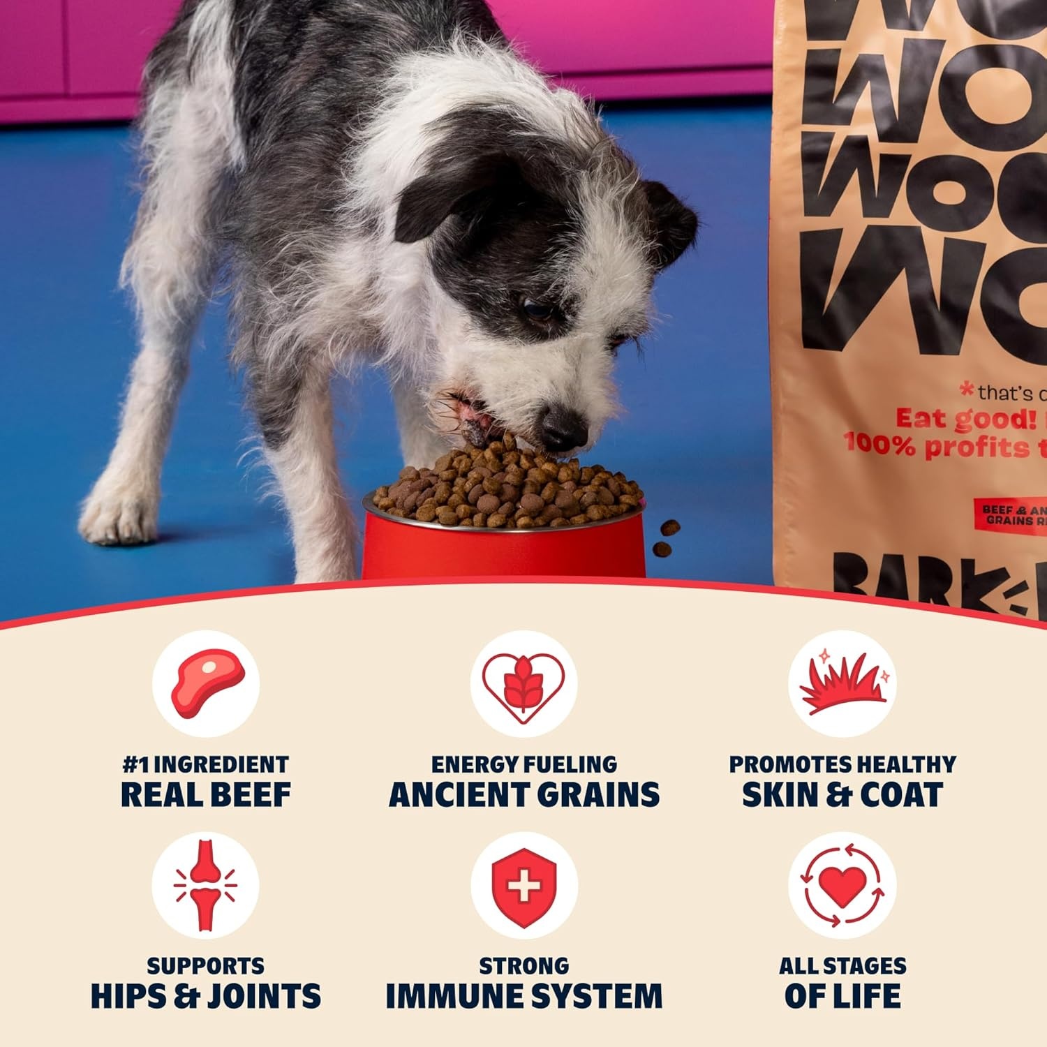 image:imageBark in the Belly Beef amp Ancient Grains Recipe Premium Dog Food 15 lb Bag 68 kg