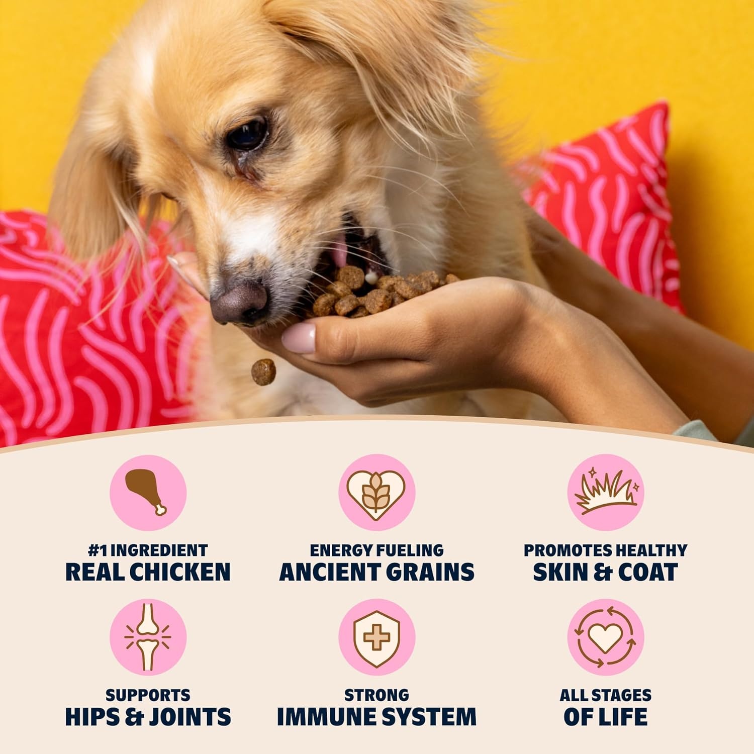 image:imageBark in the Belly Chicken amp Ancient Grains Recipe Premium Dog Food 15 lb Bag 68 kg