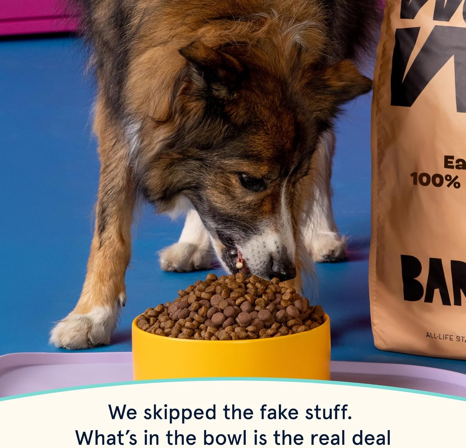 image:imageBark in the Belly Salmon amp Ancient Grains Recipe Premium Dog Food 28lb Bag