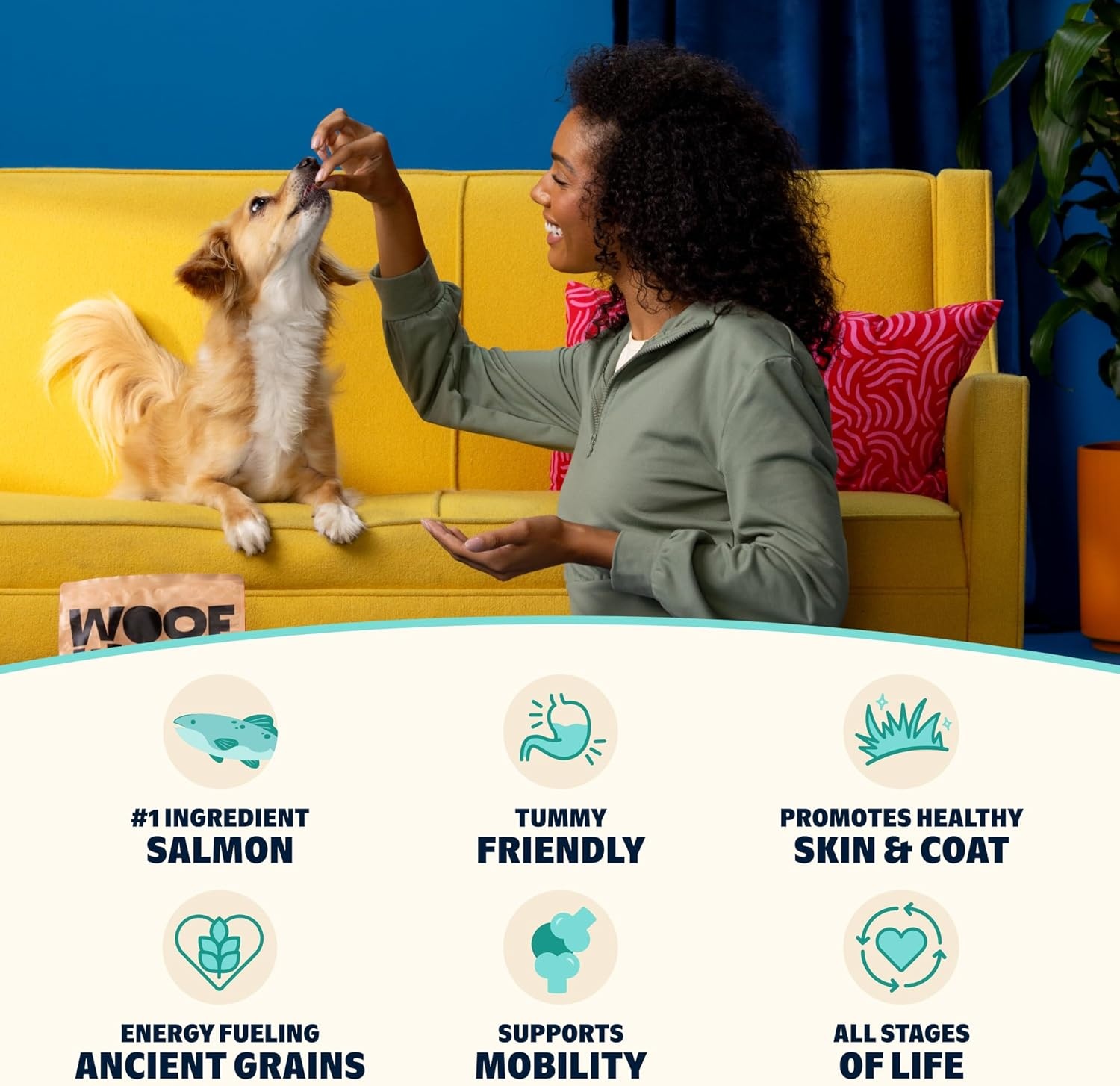 image:imageBark in the Belly Salmon amp Ancient Grains Recipe Premium Dog Food 28lb Bag