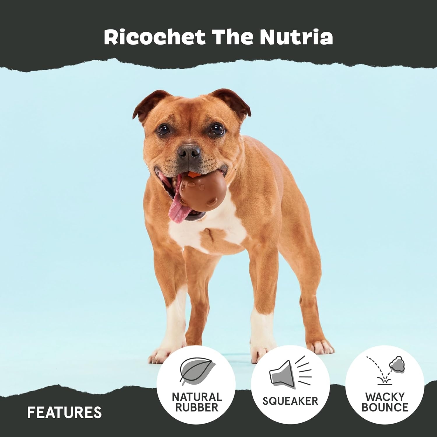 image:imageBarkbox Ruffberry Blast Dog Toy for Small Dogs Treat Dispensing Toy with Wacky Bounce and Perfect for Kibble or Favorite TreatsRicochet The Nutria