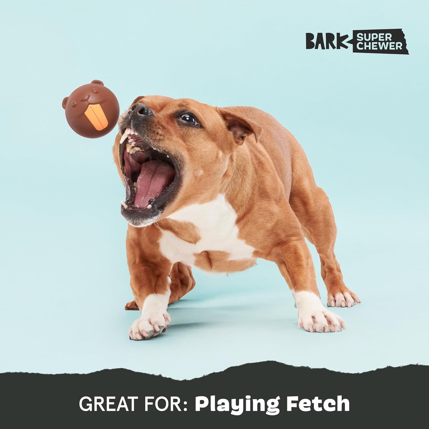 image:imageBarkbox Ruffberry Blast Dog Toy for Small Dogs Treat Dispensing Toy with Wacky Bounce and Perfect for Kibble or Favorite TreatsRicochet The Nutria