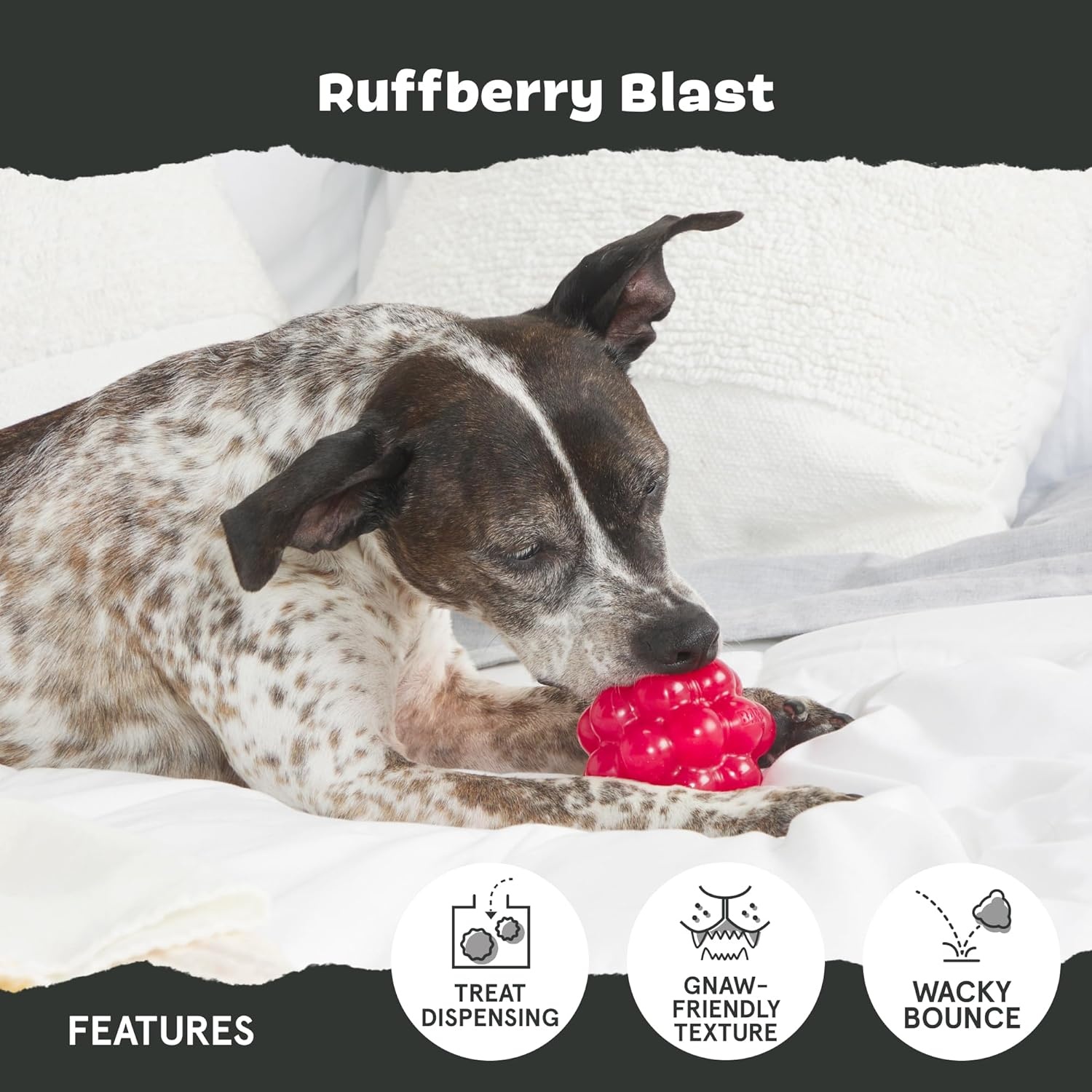 image:imageBarkbox Ruffberry Blast Dog Toy for Small Dogs Treat Dispensing Toy with Wacky Bounce and Perfect for Kibble or Favorite TreatsRuffberry Blast