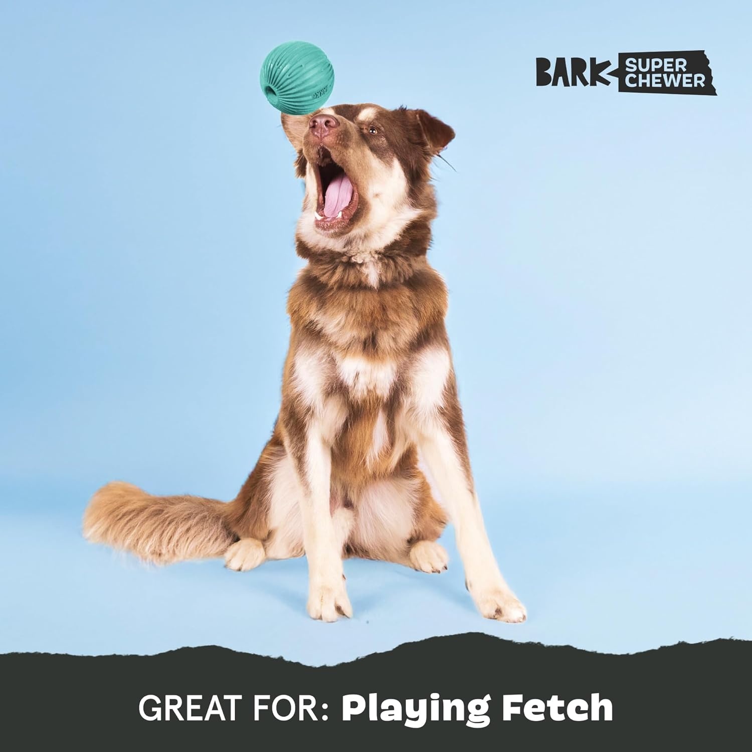 image:imageBarkbox Ruffberry Blast Dog Toy for Small Dogs Treat Dispensing Toy with Wacky Bounce and Perfect for Kibble or Favorite TreatsSea Foam Reef Ball