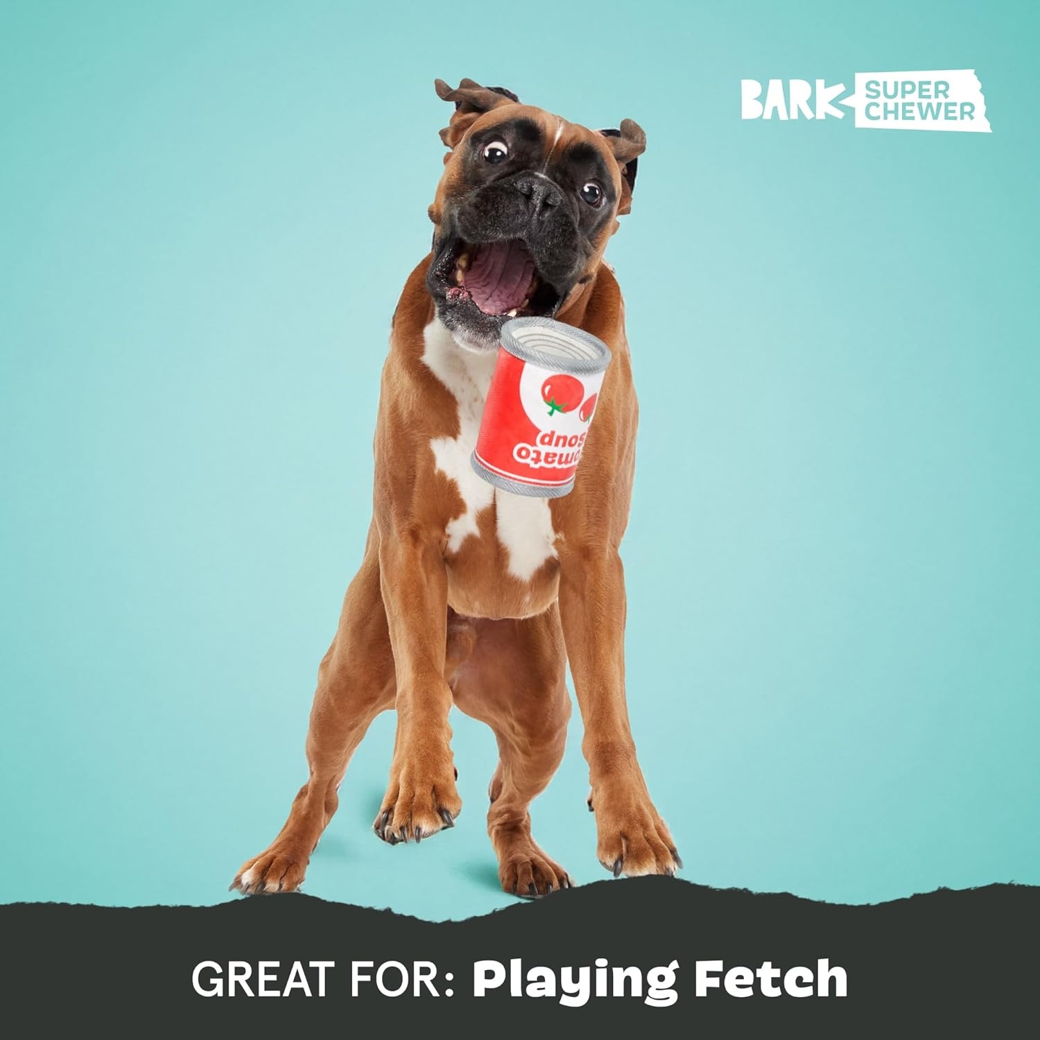 image:imageBarkbox Ruffberry Blast Dog Toy for Small Dogs Treat Dispensing Toy with Wacky Bounce and Perfect for Kibble or Favorite TreatsTomutto Soup