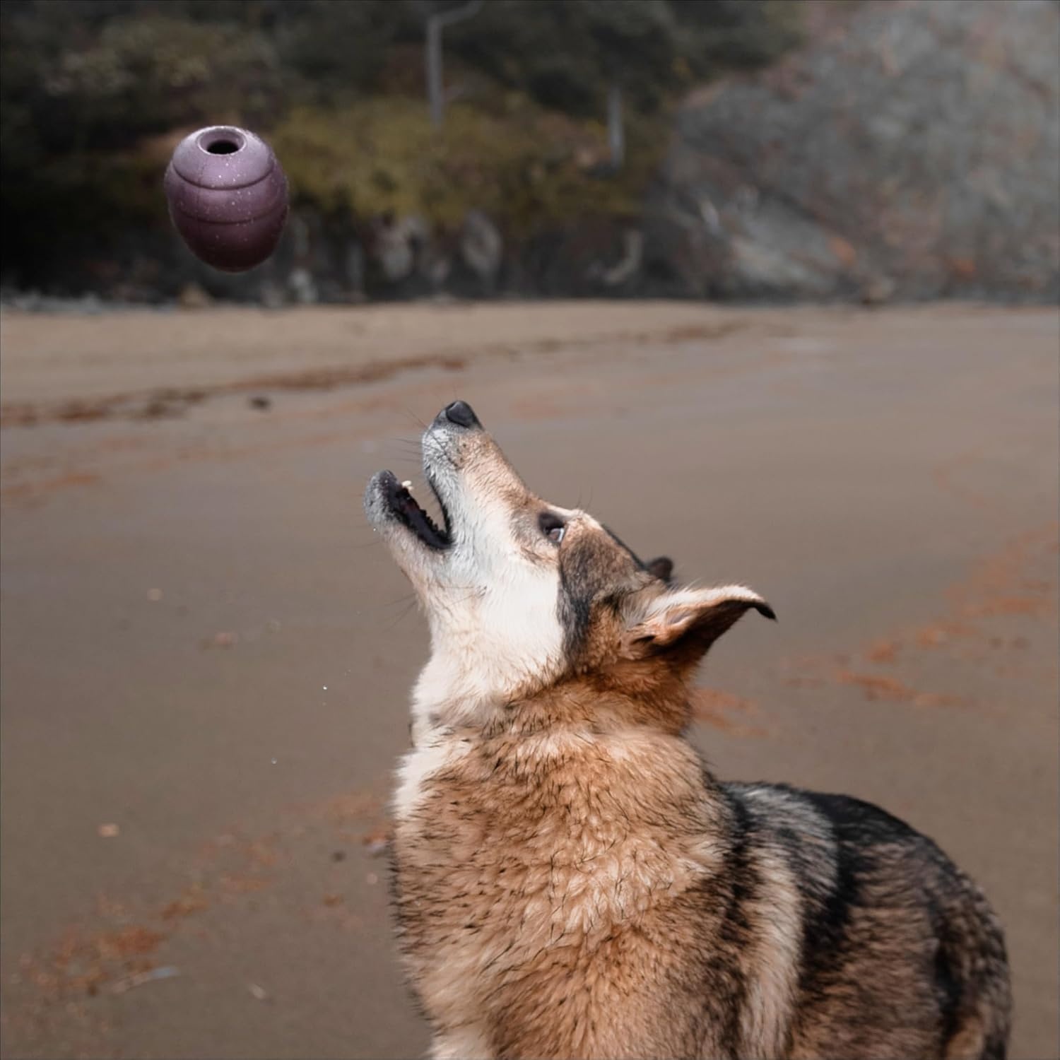 image:imageBarkbox Squash Dog Toy Natural Rubber Treat Dispensing Cream Scented amp Fun Wobble Design Dog Toy for Aggressive ChewersPine Cone