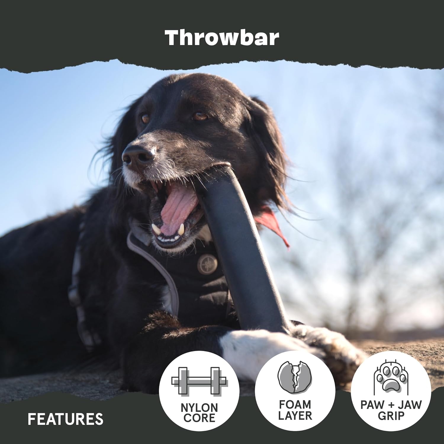 image:imageBarkbox Squash Dog Toy Natural Rubber Treat Dispensing Cream Scented amp Fun Wobble Design Dog Toy for Aggressive ChewersThrowbar