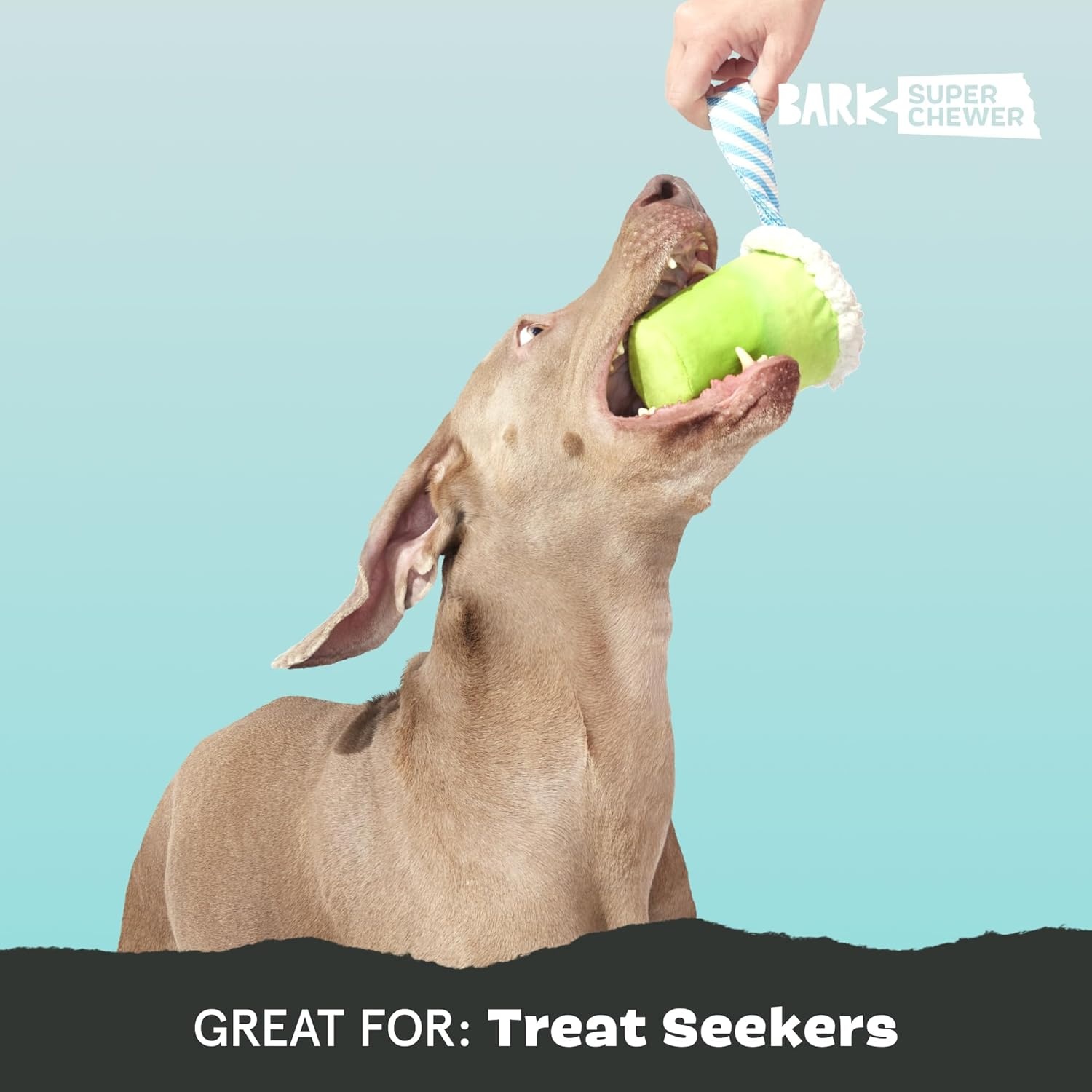 image:imageBarkbox Tipsy Toast Glass Treat Dispensing Dog Toys Puppy and Pet Toys for Medium to Large DogsGet Ripped Margrrrita