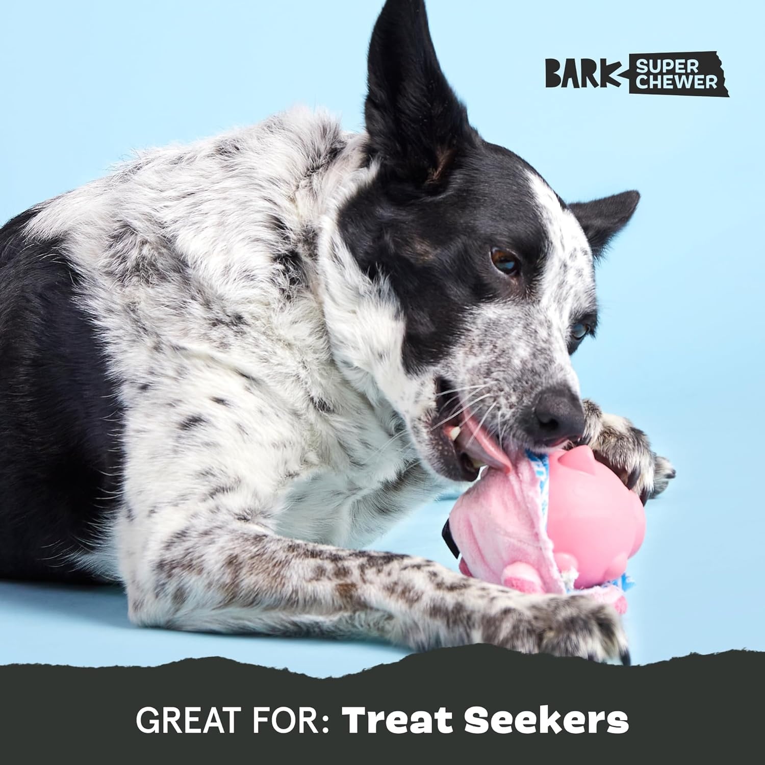 image:imageBarkbox Tipsy Toast Glass Treat Dispensing Dog Toys Puppy and Pet Toys for Medium to Large DogsHambone Super Chewer