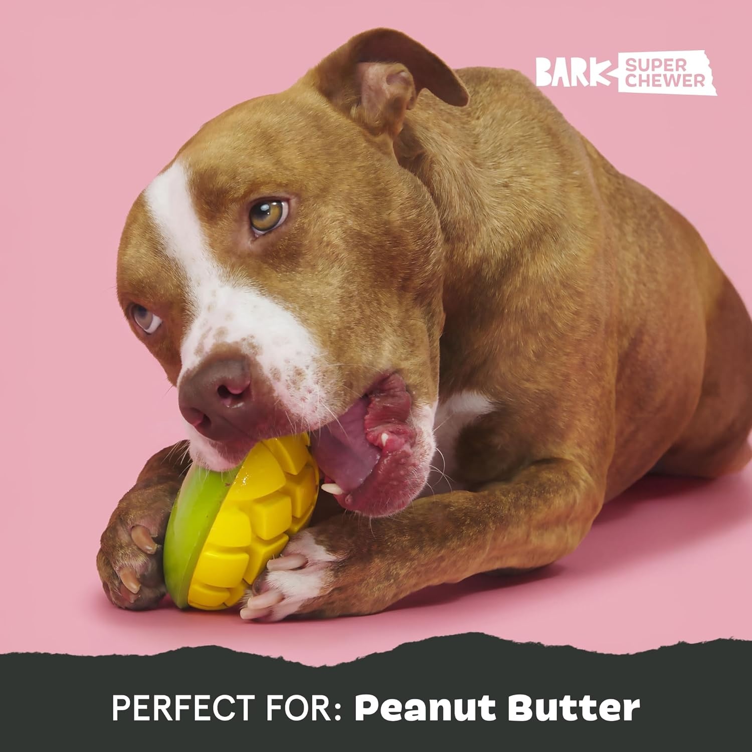 image:imageBarkbox Treat Meat Hot Dog Dog Toy BaconScented Rubber Chew Toy for Medium Dogs Durable Dog Toys for Aggressive Chewers amp Puppy Teething ToysGo Mango