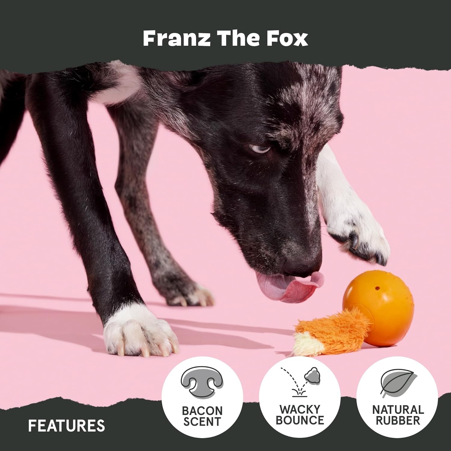 image:imageBarkbox Tug Tied Toad Dog Toy for Tough Chewers Durable Rubber Design Perfect for TugofWarFranz the FoxMedium