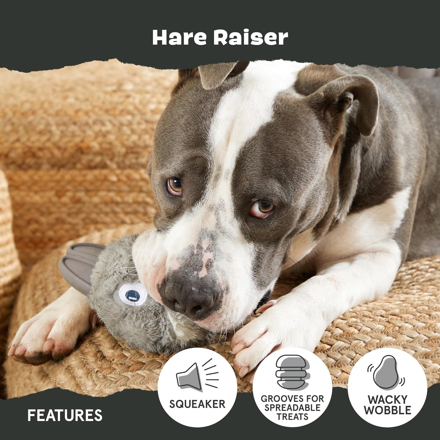 image:imageBarkbox Tug Tied Toad Dog Toy for Tough Chewers Durable Rubber Design Perfect for TugofWarHare Large