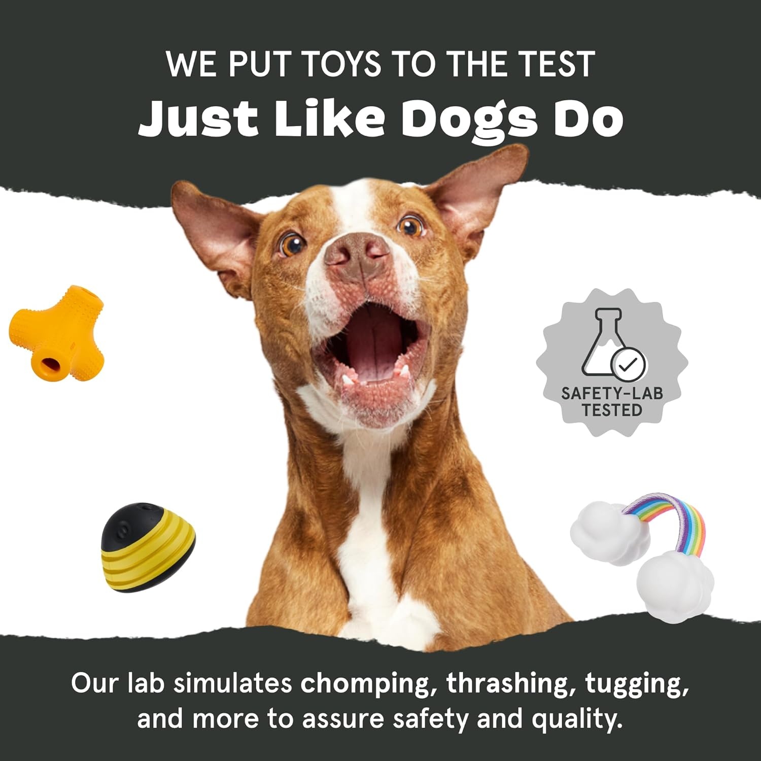 image:imageBarkbox Tug Tied Toad Dog Toy for Tough Chewers Durable Rubber Design Perfect for TugofWarHedgehog