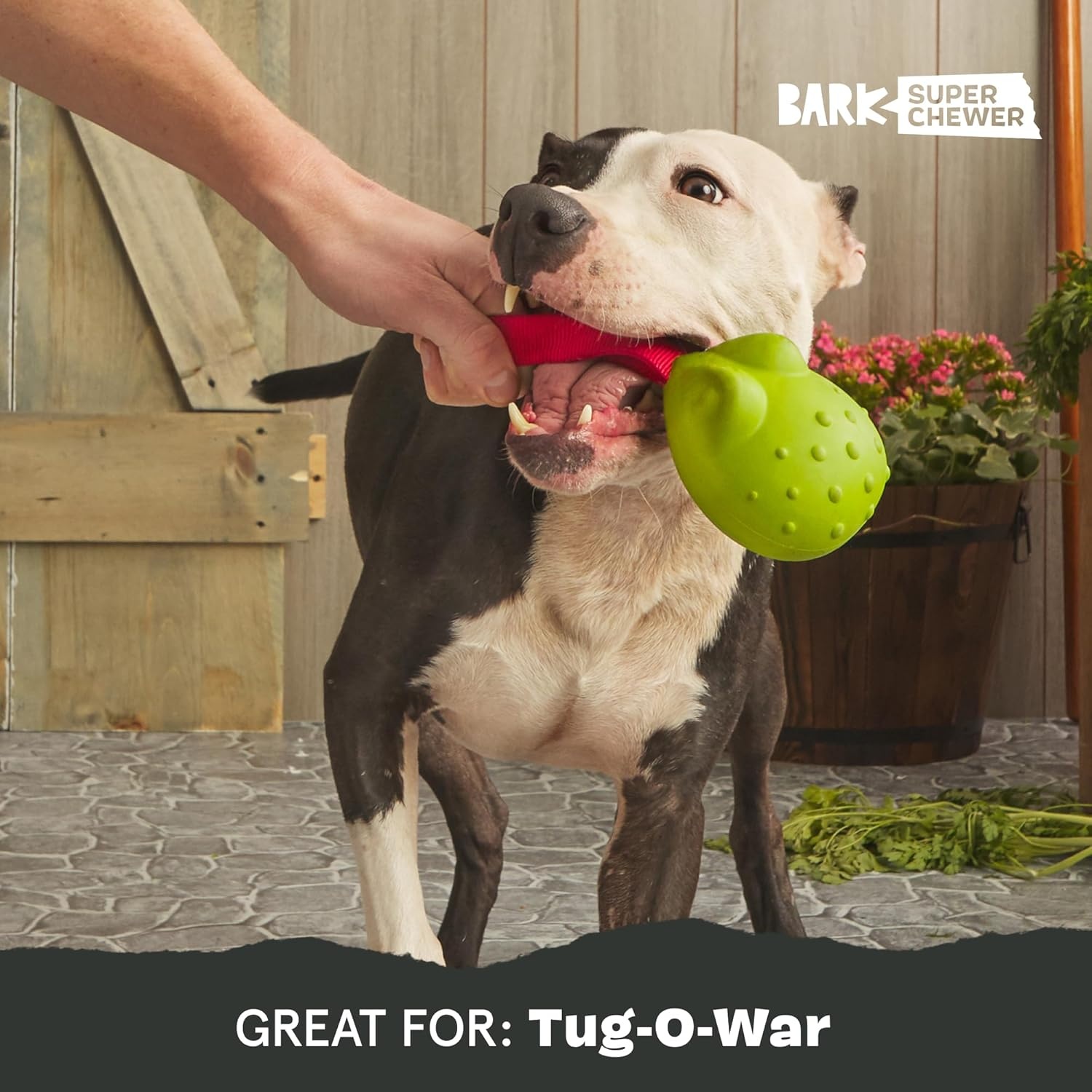image:imageBarkbox Tug Tied Toad Dog Toy for Tough Chewers Durable Rubber Design Perfect for TugofWarTug Tied ToadLarge