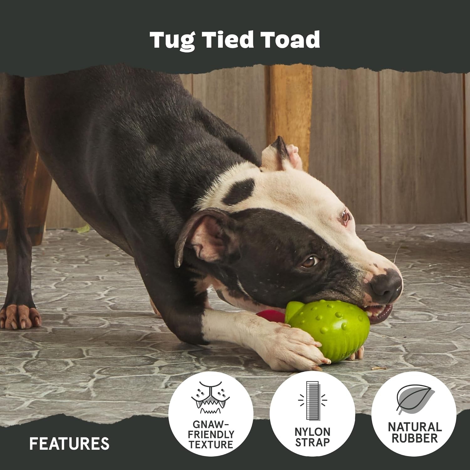 image:imageBarkbox Tug Tied Toad Dog Toy for Tough Chewers Durable Rubber Design Perfect for TugofWarTug Tied ToadLarge