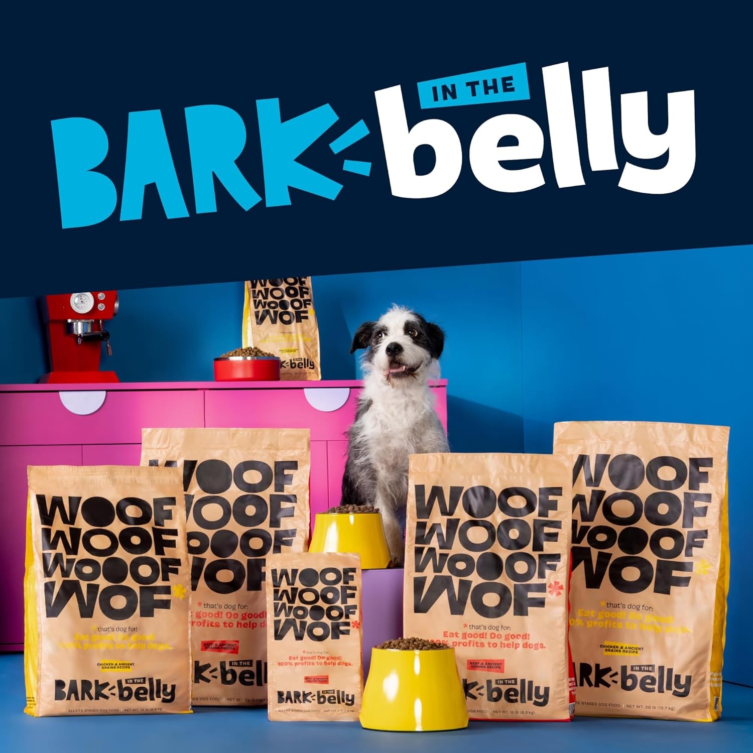 image:imageBarkbox Bada Bing Beef Dry Dog Food Toppers with High Protein and Limited Ingredients Meal Enhancer for Large amp Small Breeds 46 OzCheese