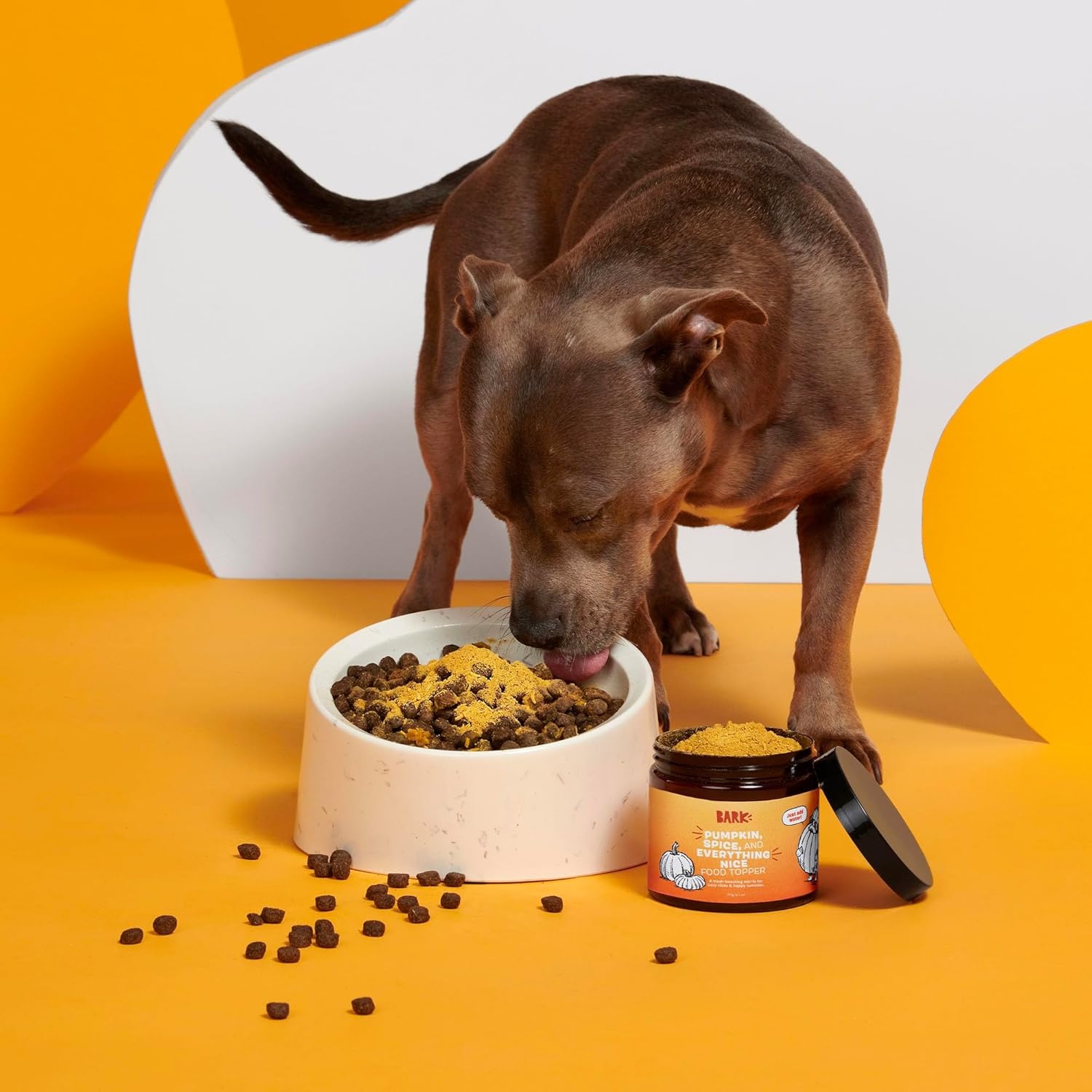 image:imageBarkbox Bada Bing Beef Dry Dog Food Toppers with High Protein and Limited Ingredients Meal Enhancer for Large amp Small Breeds 46 OzPumpkin