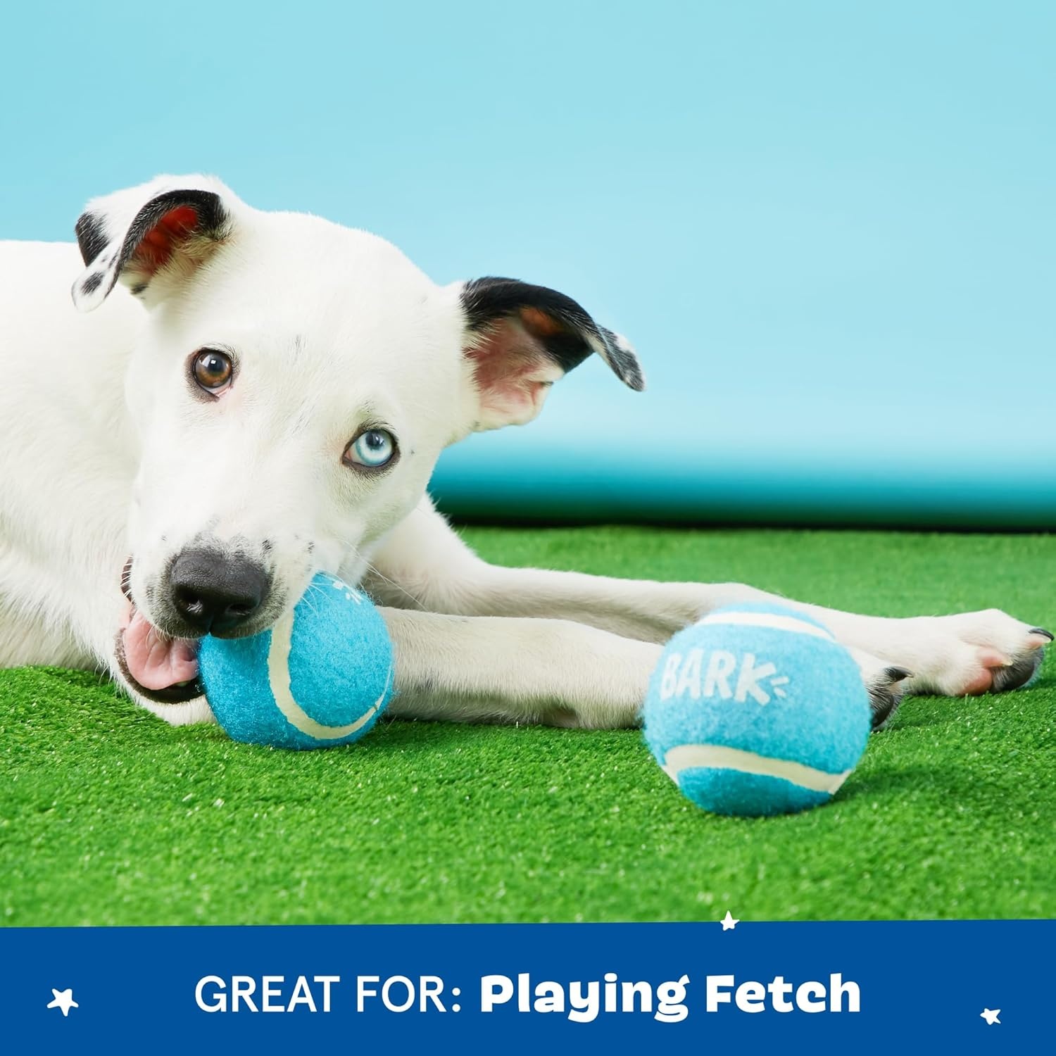 image:imageBarkbox Afterschool Snack Pack Dog Toy Bundle Squeaky Dog Toys Plush Dog Toys Puppy and Pet Toys for Large DogsLarge