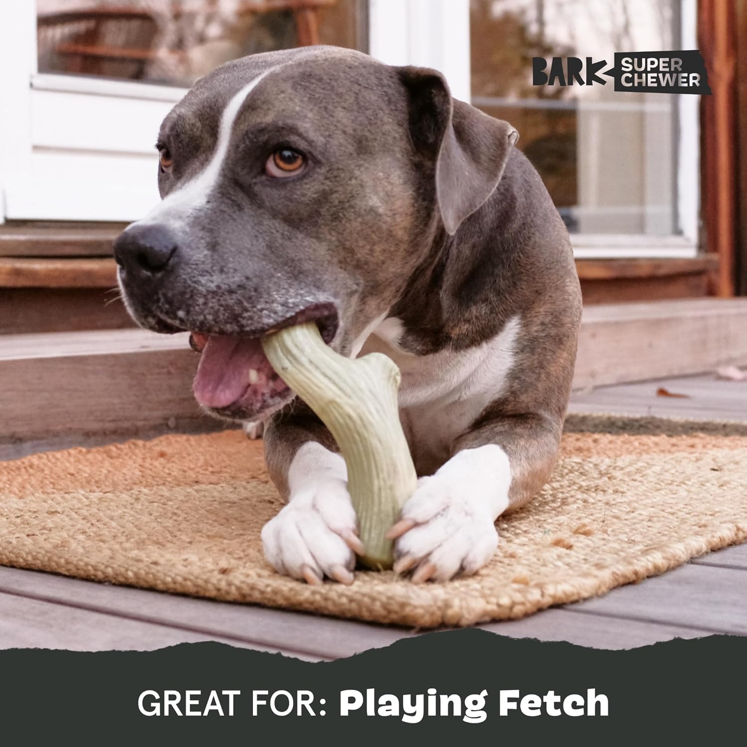 image:imageBarkbox Dogness Monster Super Chewer Dog Chew Toy Tough Dental Stimulating Toy for Aggressive Chewers LargeBig Game Antler Large