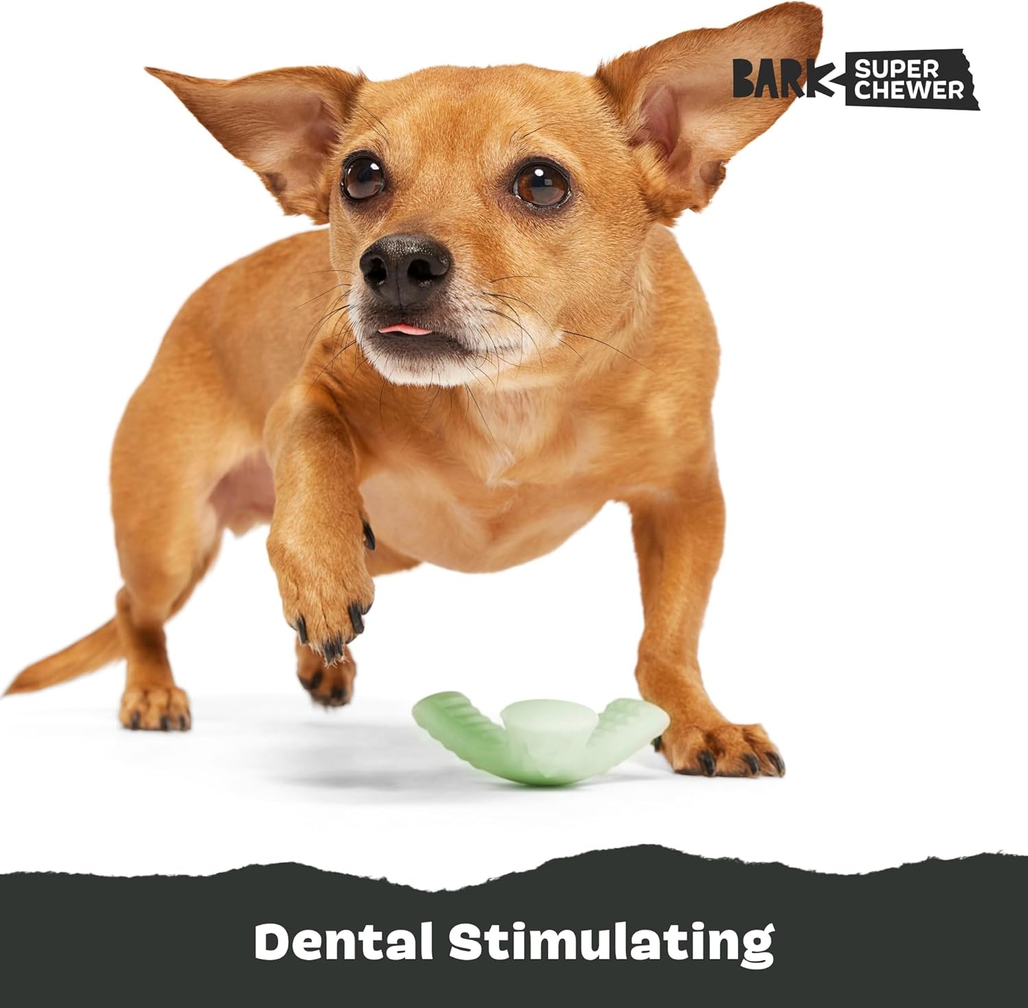 image:imageBarkbox Dogness Monster Super Chewer Dog Chew Toy Tough Dental Stimulating Toy for Aggressive Chewers LargeChopper Small