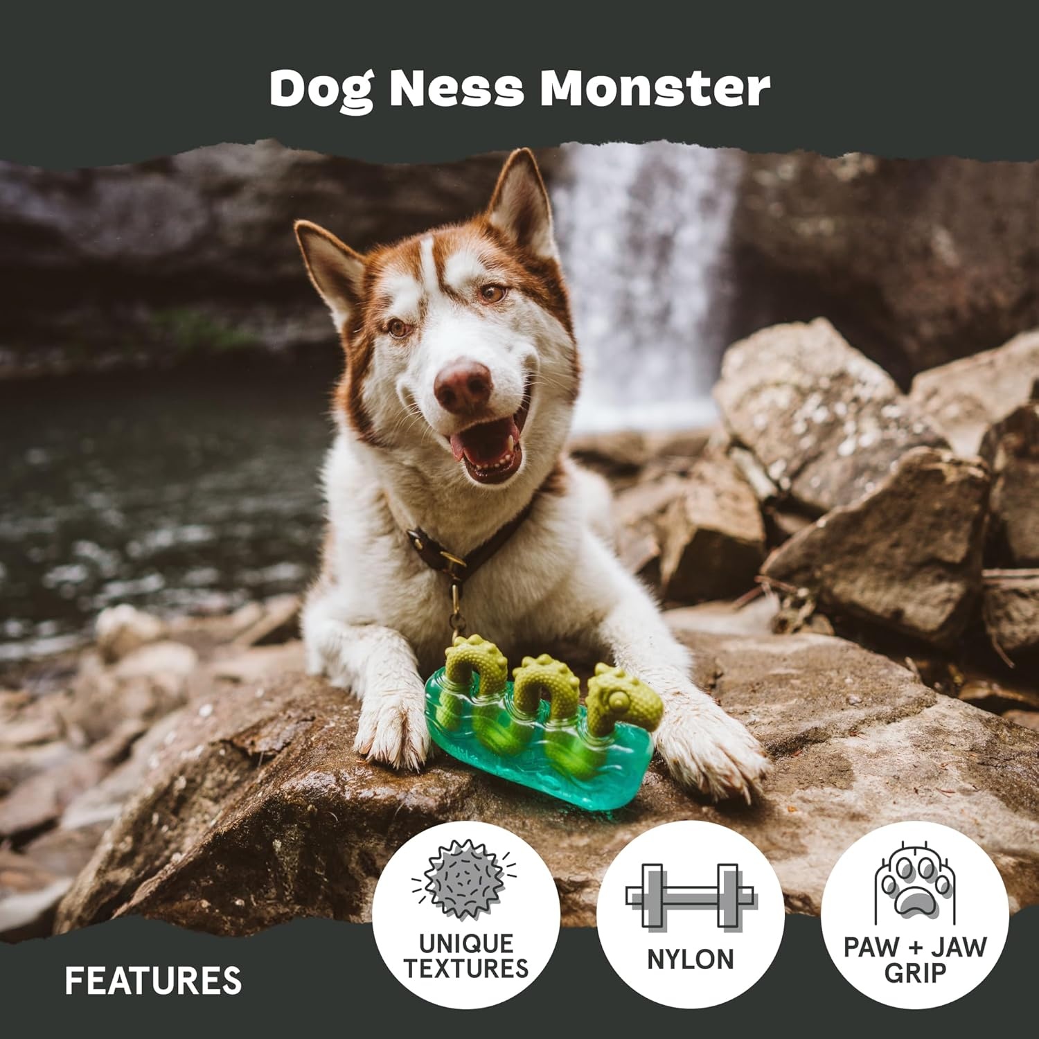image:imageBarkbox Dogness Monster Super Chewer Dog Chew Toy Tough Dental Stimulating Toy for Aggressive Chewers LargeDog Ness Monster Large