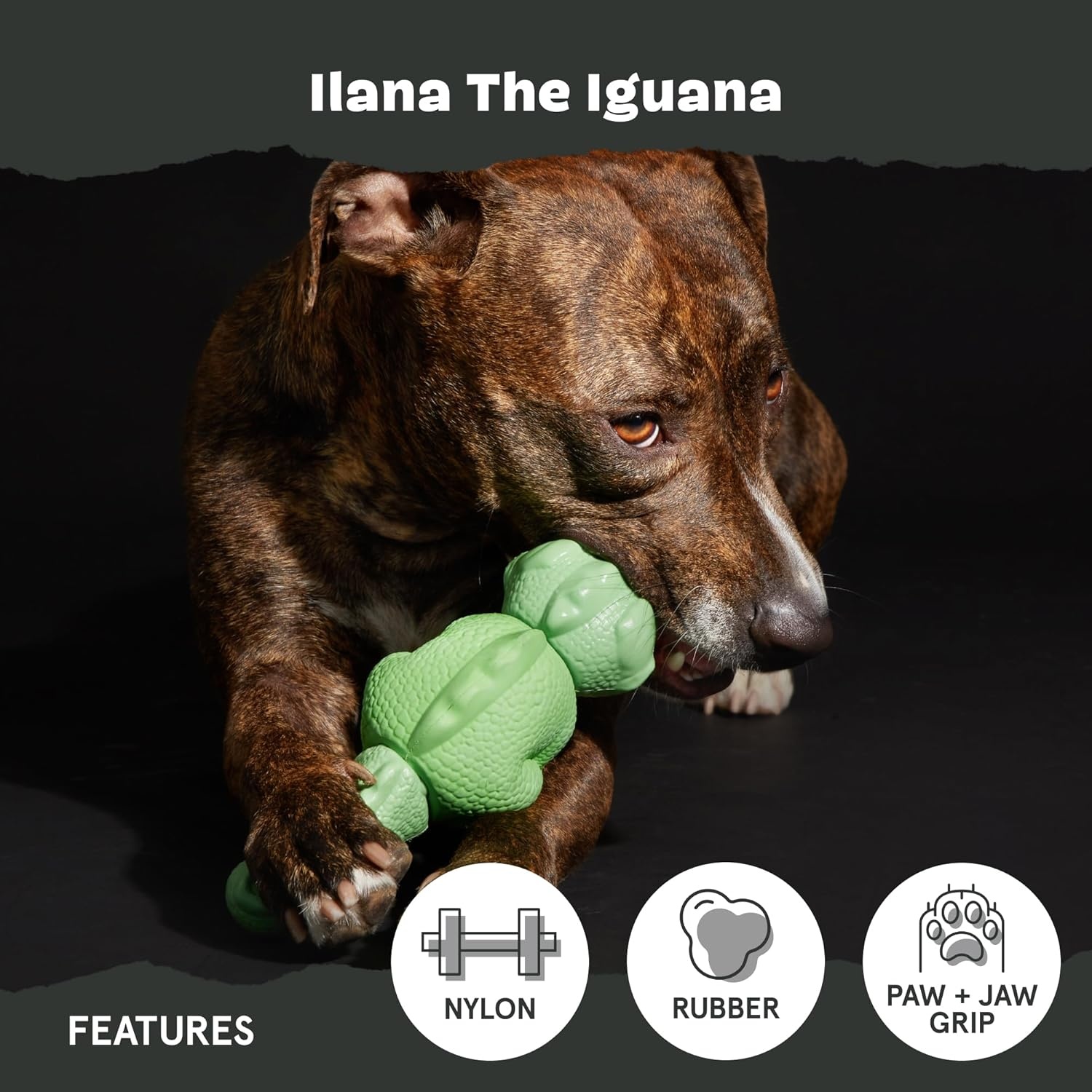 image:imageBarkbox Dogness Monster Super Chewer Dog Chew Toy Tough Dental Stimulating Toy for Aggressive Chewers LargeIllana the Iguana Large