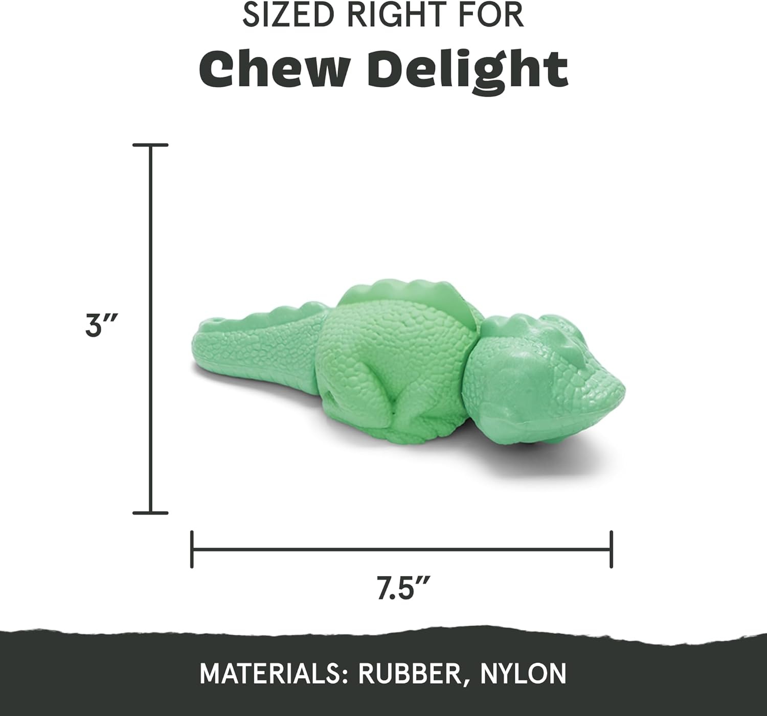 image:imageBarkbox Dogness Monster Super Chewer Dog Chew Toy Tough Dental Stimulating Toy for Aggressive Chewers LargeIllana the Iguana Large