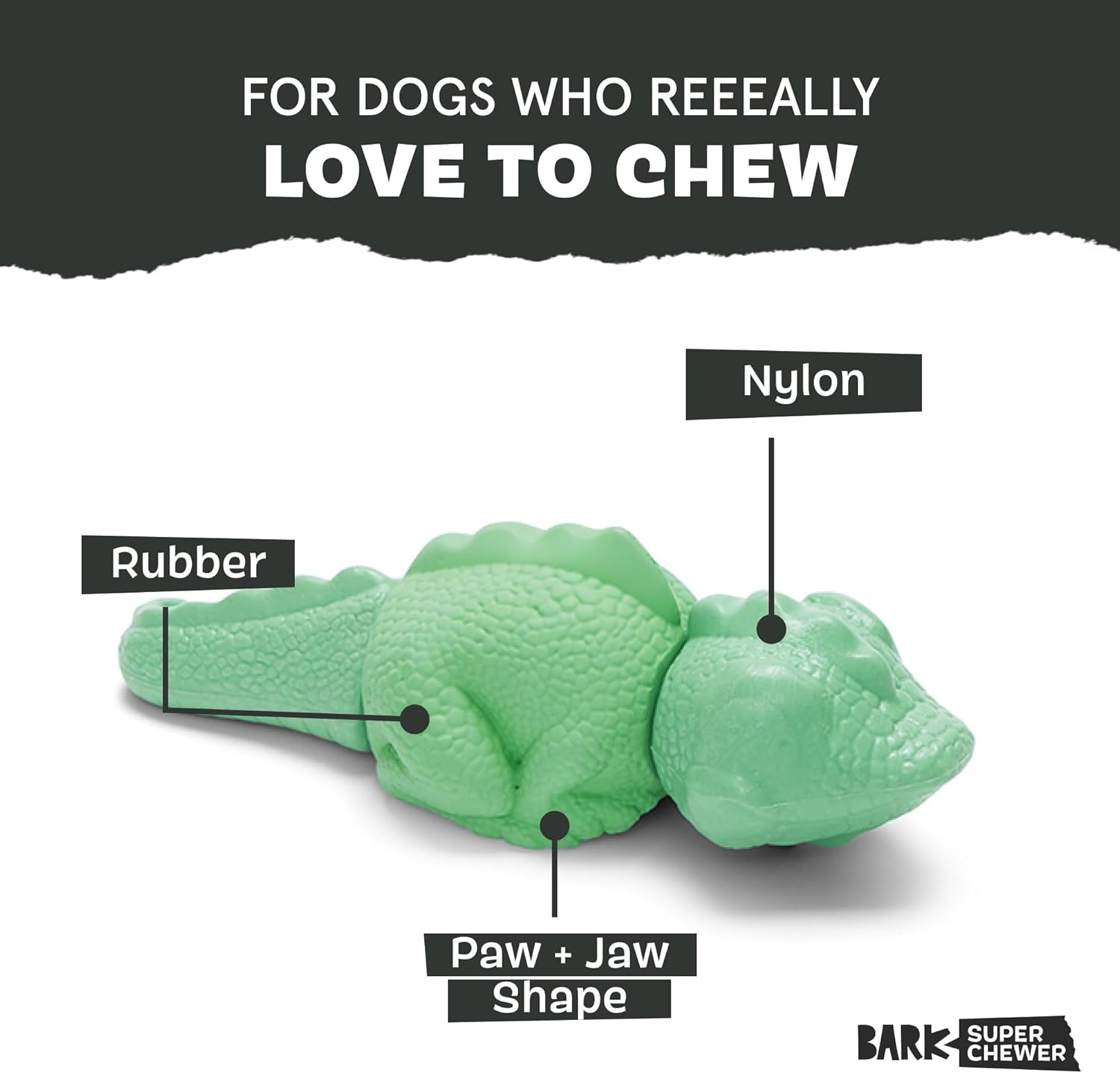 image:imageBarkbox Dogness Monster Super Chewer Dog Chew Toy Tough Dental Stimulating Toy for Aggressive Chewers LargeIllana the Iguana Large