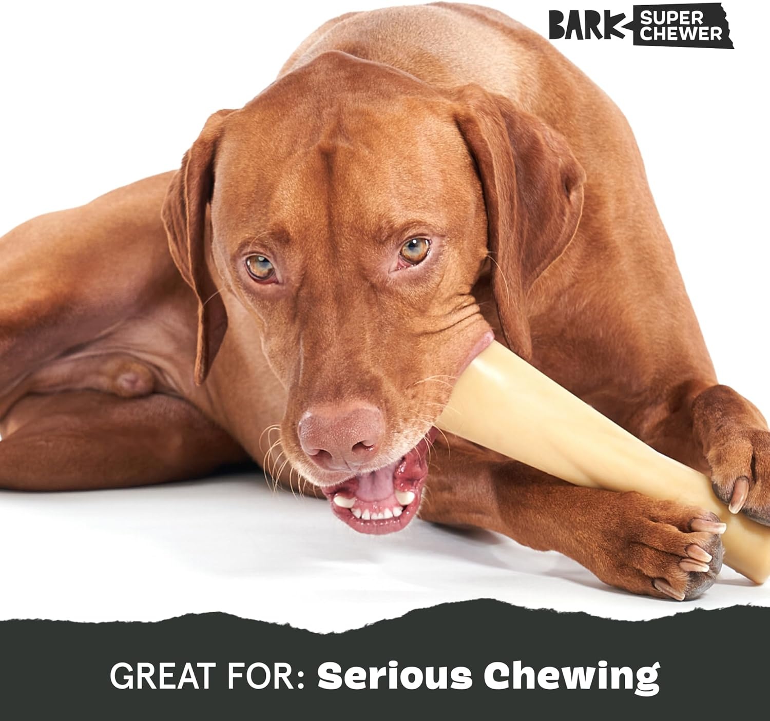 image:imageBarkbox Dogness Monster Super Chewer Dog Chew Toy Tough Dental Stimulating Toy for Aggressive Chewers LargeMighty Bone Bacon Large