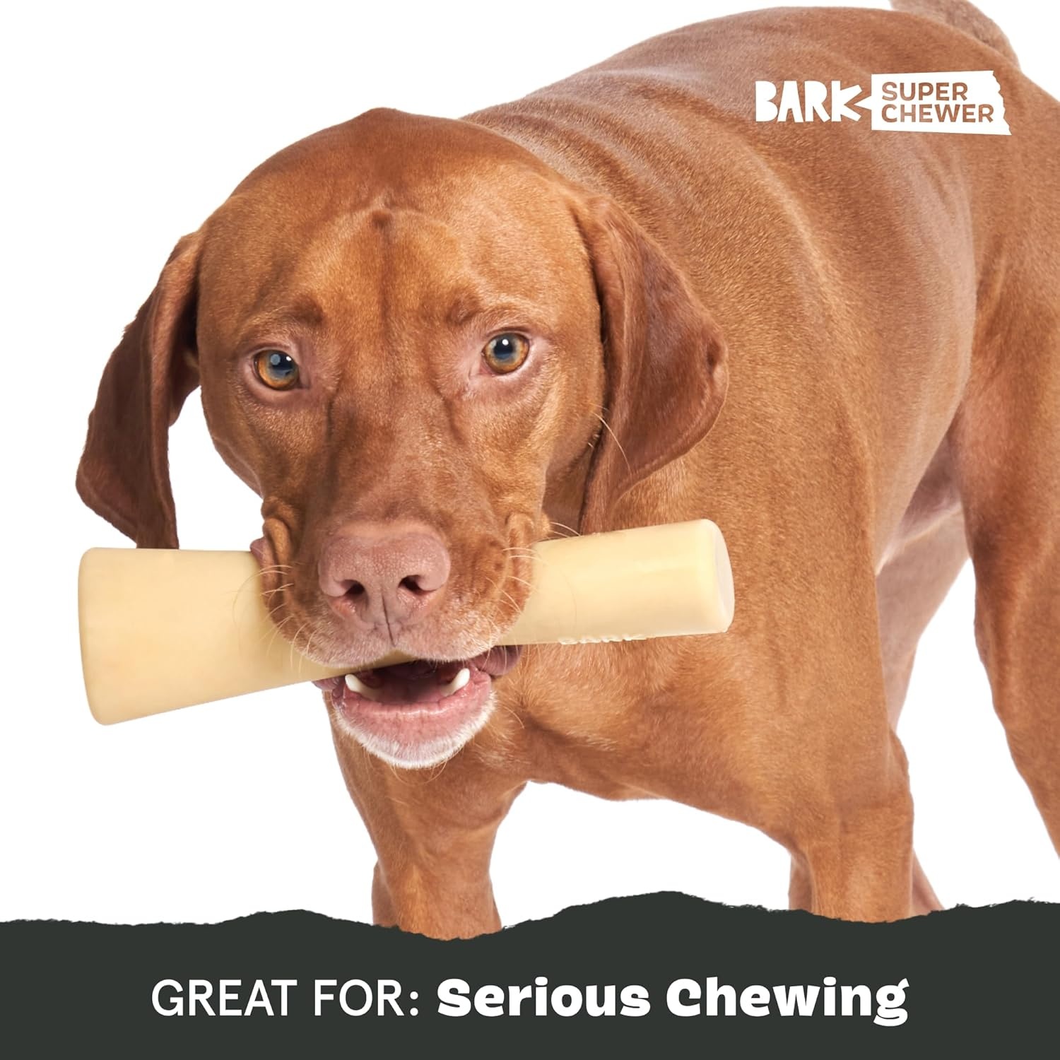image:imageBarkbox Dogness Monster Super Chewer Dog Chew Toy Tough Dental Stimulating Toy for Aggressive Chewers LargeMighty Bone Bacon Small