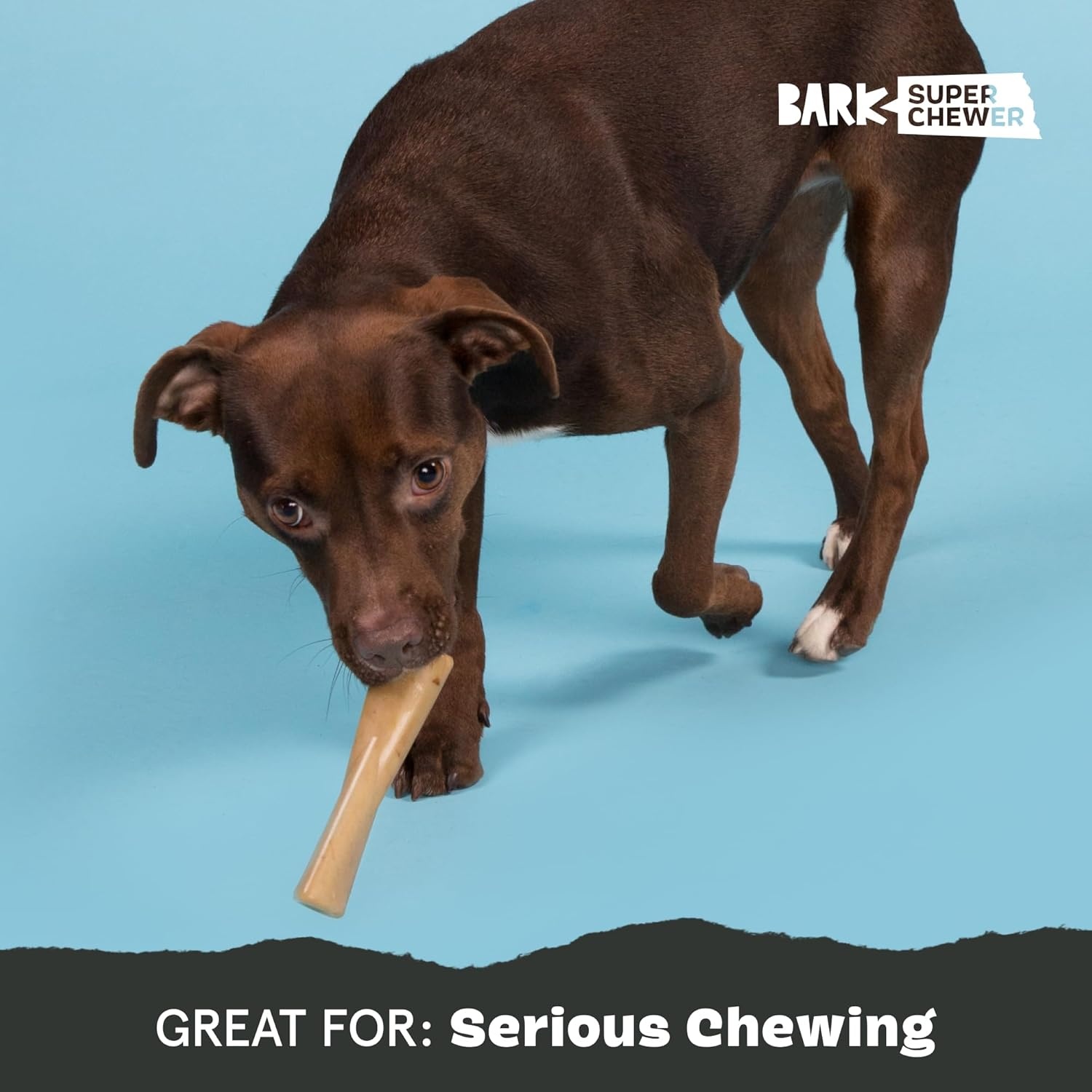 image:imageBarkbox Dogness Monster Super Chewer Dog Chew Toy Tough Dental Stimulating Toy for Aggressive Chewers LargeMighty Bone PB Small