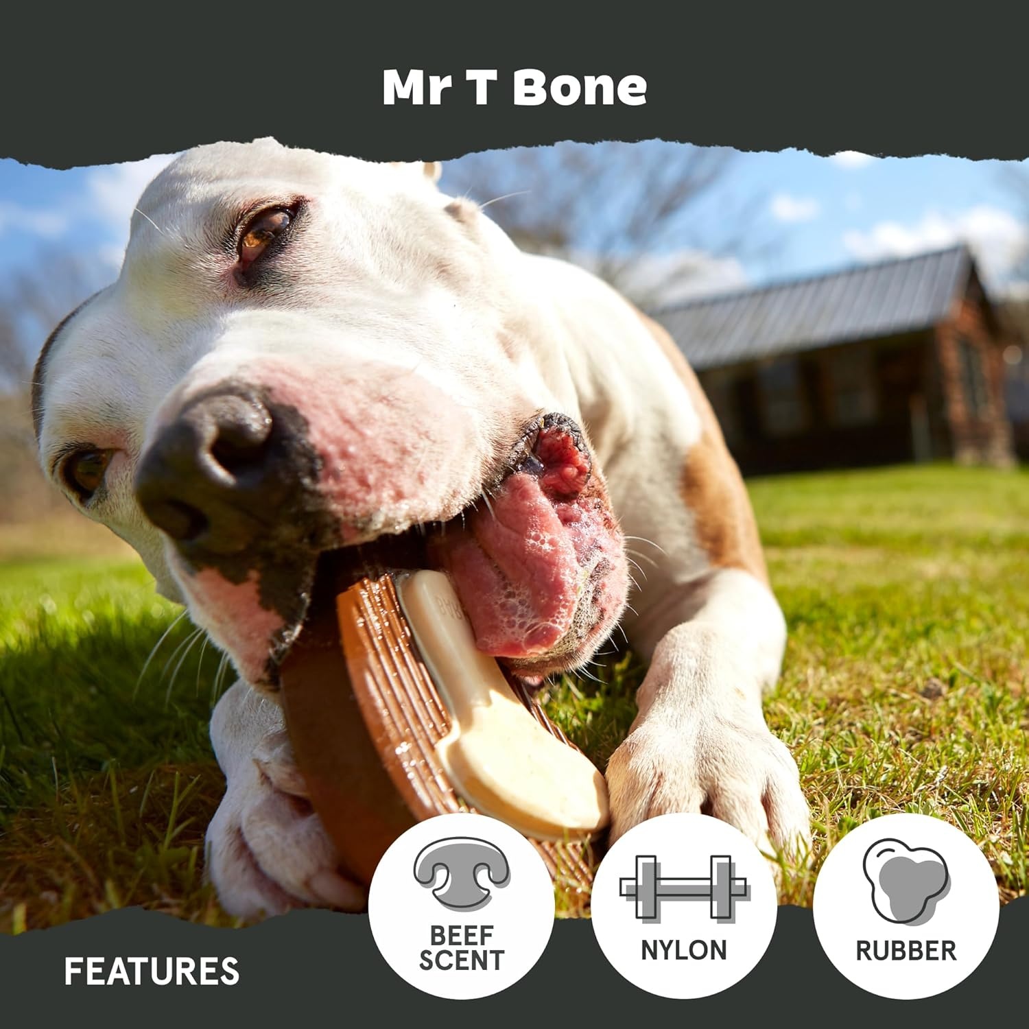 image:imageBarkbox Dogness Monster Super Chewer Dog Chew Toy Tough Dental Stimulating Toy for Aggressive Chewers LargeMr TBone Large