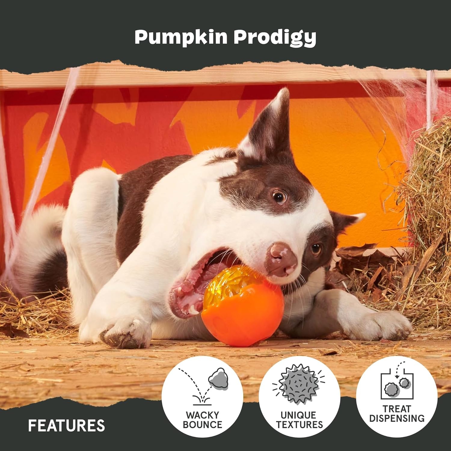 image:imageBarkbox Dogness Monster Super Chewer Dog Chew Toy Tough Dental Stimulating Toy for Aggressive Chewers LargePumpkin Prodigy