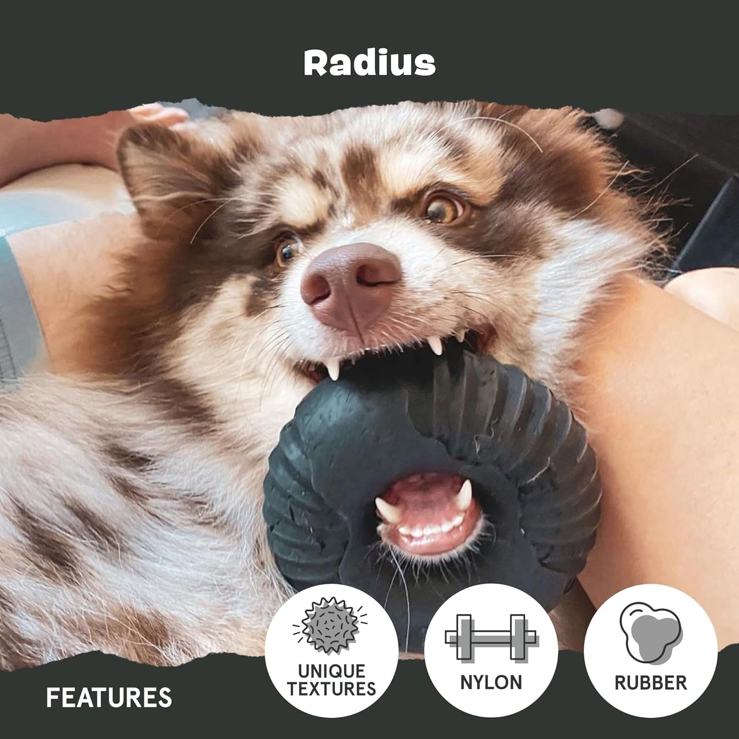image:imageBarkbox Dogness Monster Super Chewer Dog Chew Toy Tough Dental Stimulating Toy for Aggressive Chewers LargeRadius Large