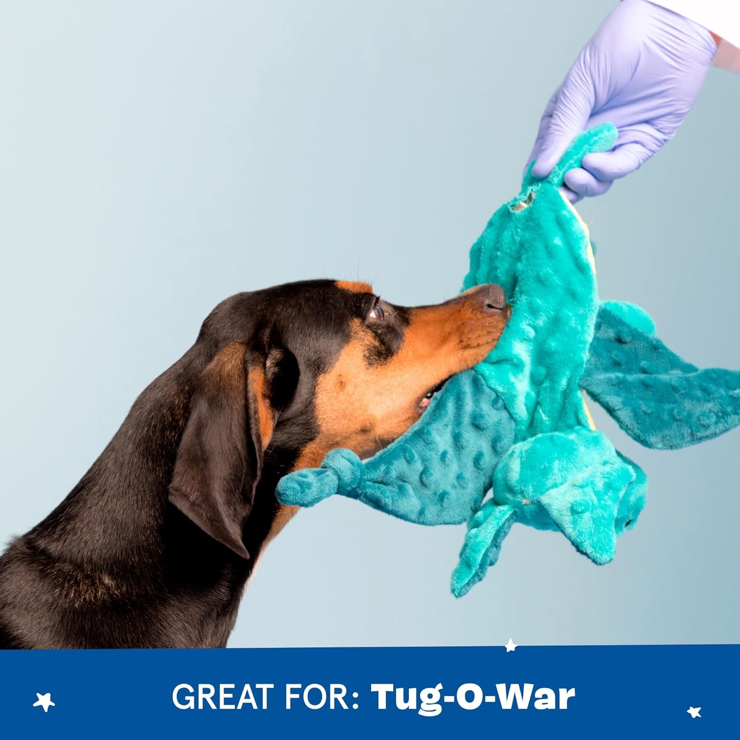 image:imageBarkbox Fiesta Party Bundle Squeaky Dog Toys Plush Chew Toys Puppy and Pet Toys for Small Dogs Full O Fluff Pinata amp Muy Squeaky MargaritaBest of Barkbox Large