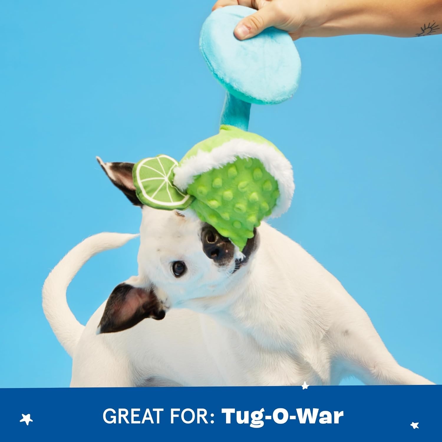 image:imageBarkbox Fiesta Party Bundle Squeaky Dog Toys Plush Chew Toys Puppy and Pet Toys for Small Dogs Full O Fluff Pinata amp Muy Squeaky MargaritaFiesta Bundle Small