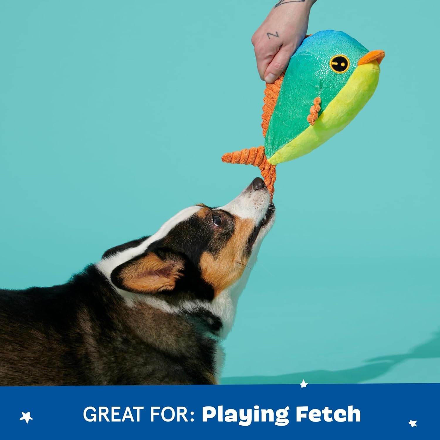 image:imageBarkbox Fiesta Party Bundle Squeaky Dog Toys Plush Chew Toys Puppy and Pet Toys for Small Dogs Full O Fluff Pinata amp Muy Squeaky MargaritaUnder the Sea Bundle Large