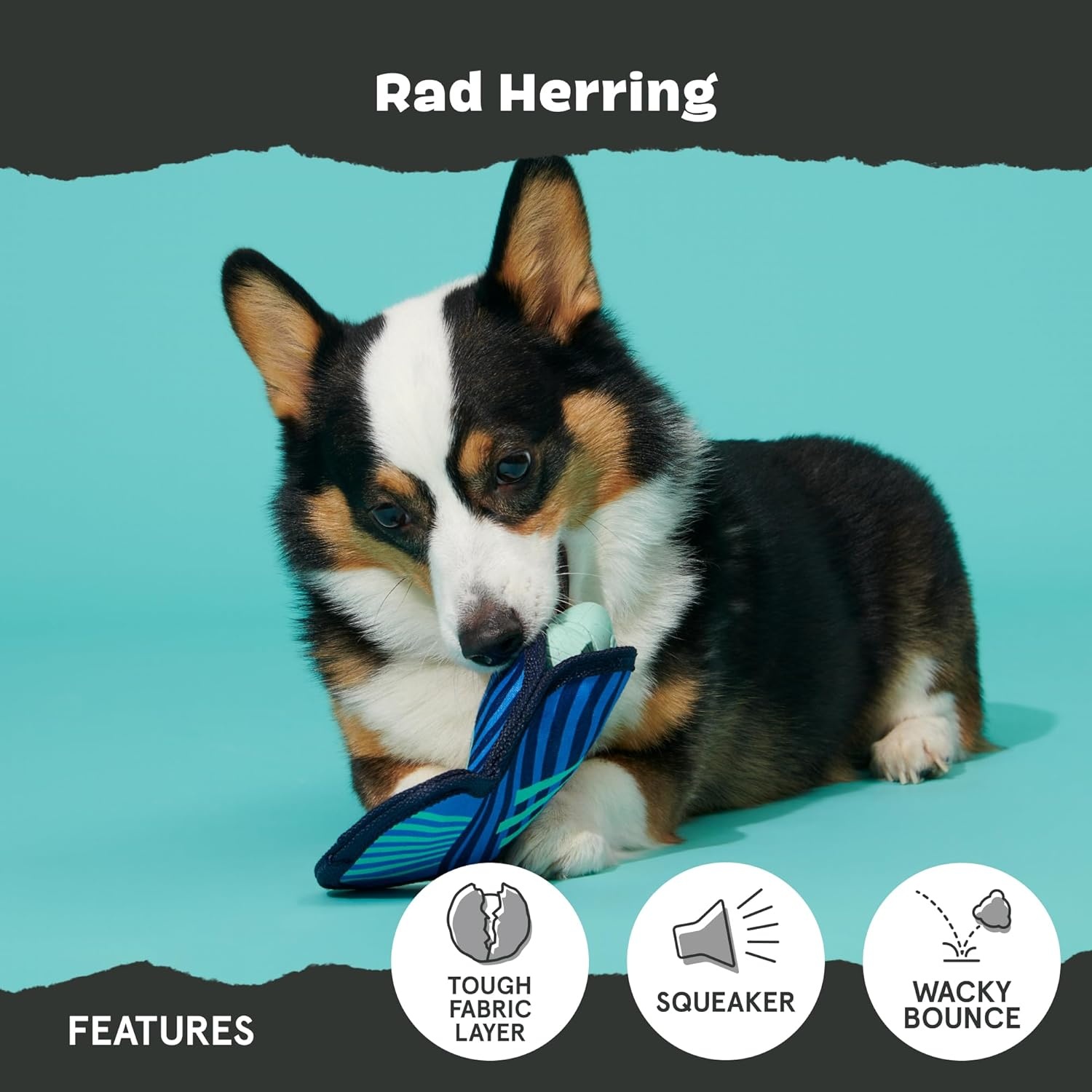 image:imageBarkbox Super Chewer Rad Herring Hard Core Toy with Rip Away Plush for Aggressive Chewers MediumRad Herring Medium