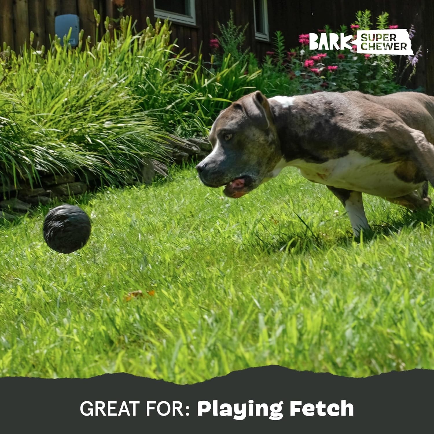 image:imageBarkbox Super Chewer Tough Dog Chew Toys for Aggressive Chewers Treat Dispensing Carrot SmallComet Small