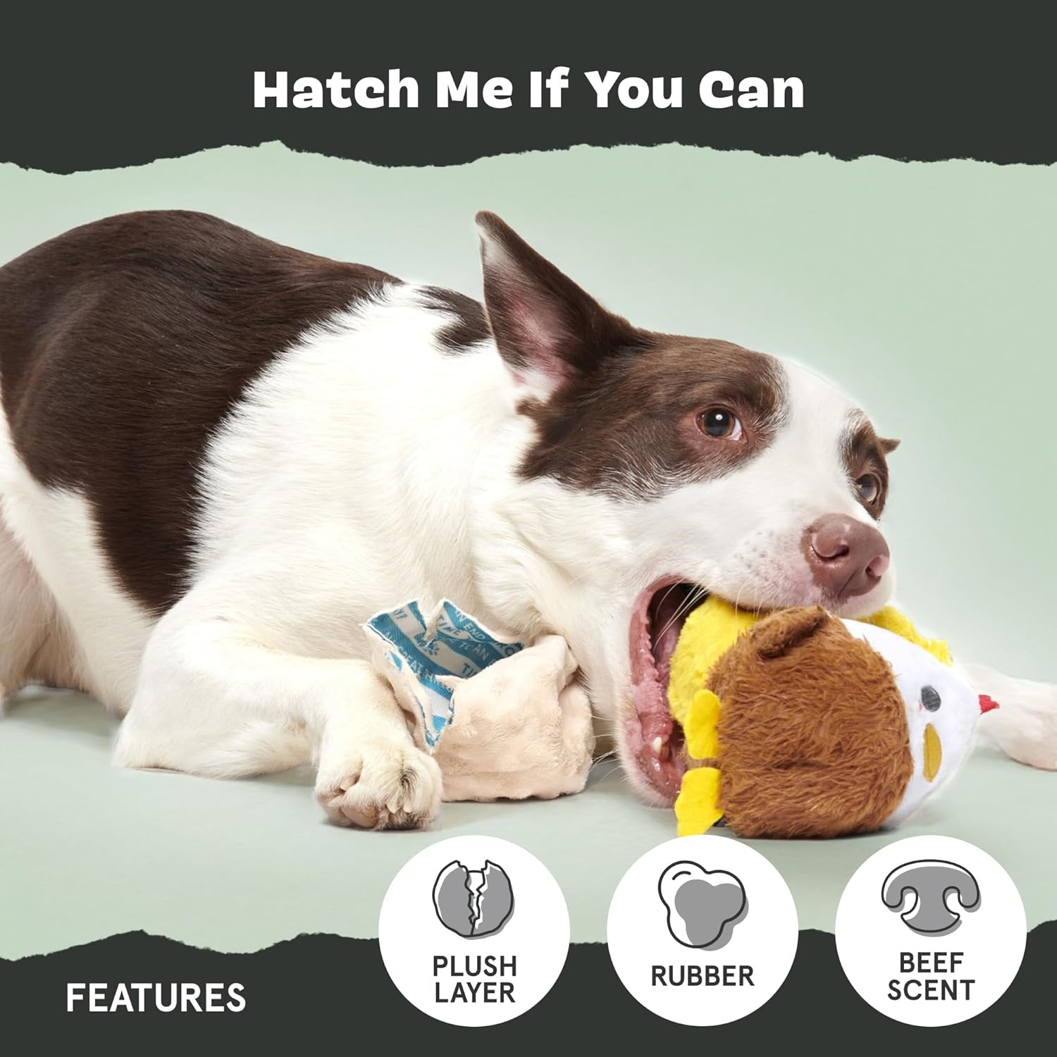 image:imageBarkbox Torbert The Troll Dog Toy for Small Dogs Natural Rubber with Wacky Bounce Perfect for Aggressive Chewers and LongLasting PlaytimeHatch Me If You Can