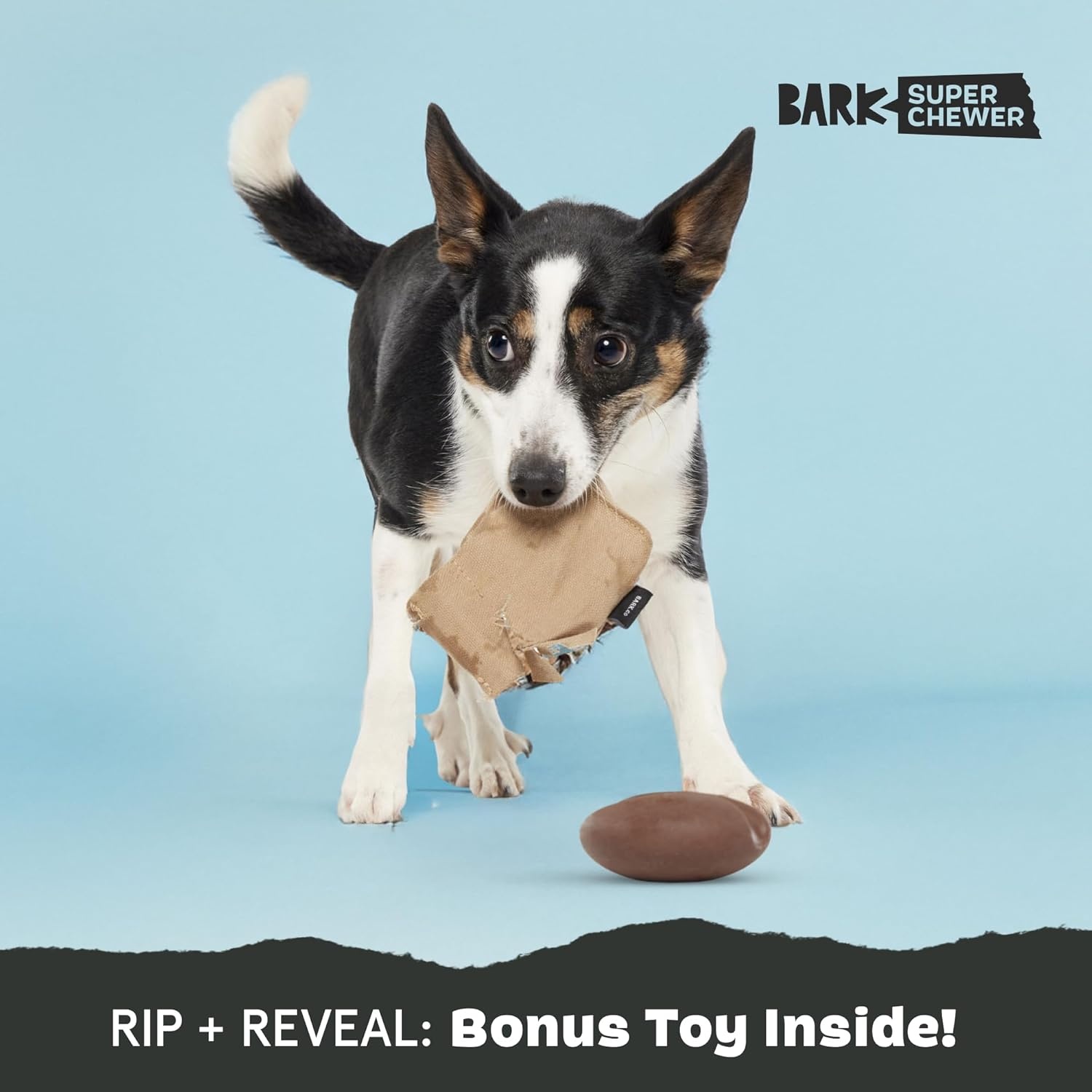 image:imageBarkbox Turkey Barker Dog Toy for Large Aggressive Chewers TurkeyScented Rip amp Reveal Toy for Engaging and Durable PlaytimeJitter Pug Coffee Bean
