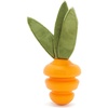 Deep Roots Carrot - Small