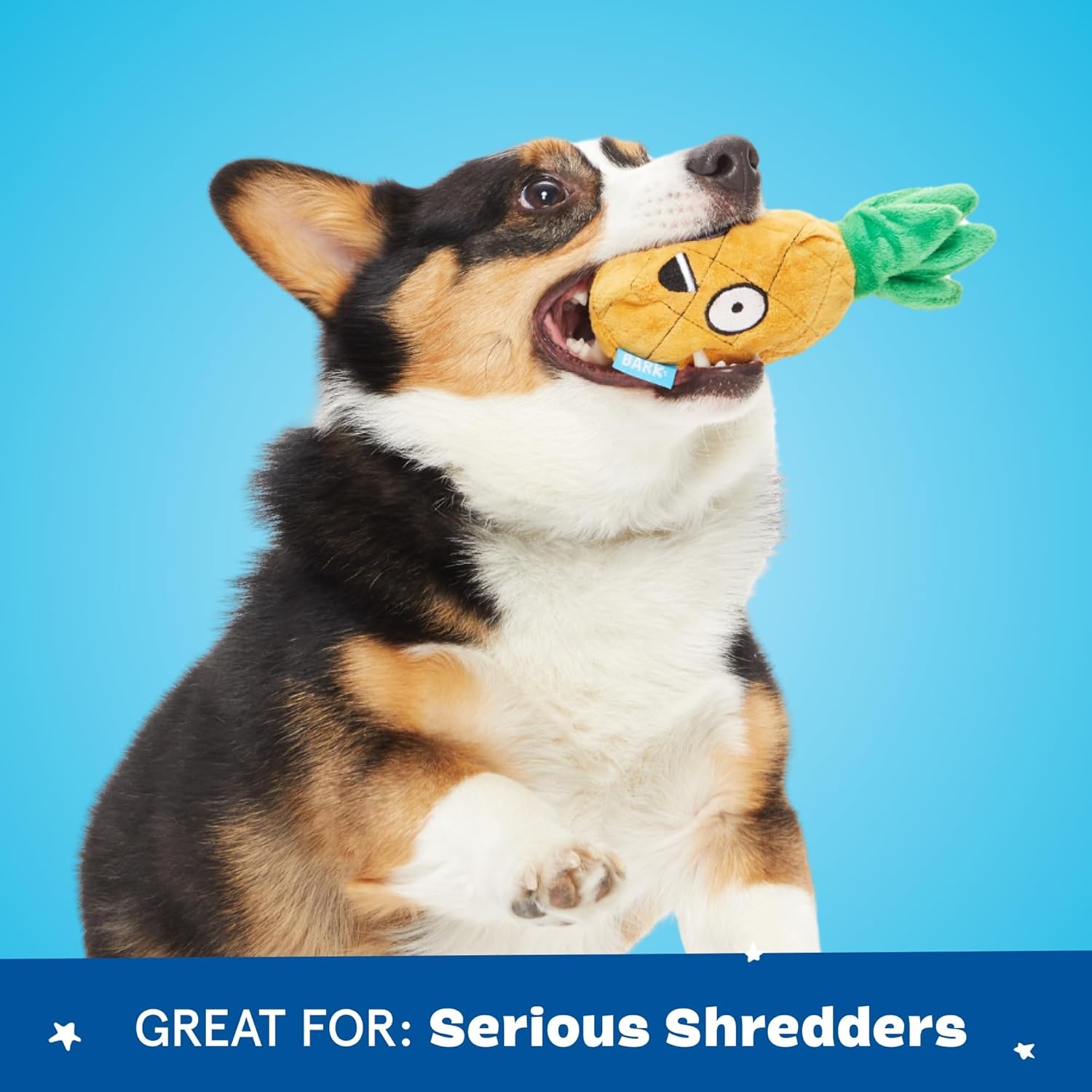 image:imageBarkbox Dog Toy 2 in 1 Interactive Plush Exterior with Squeaker amp Crinkle Material Tearable Dog Toy with Squeaky Spikey Ball Inside Ideal for Toy Destroyers Penny The Pineapple Small