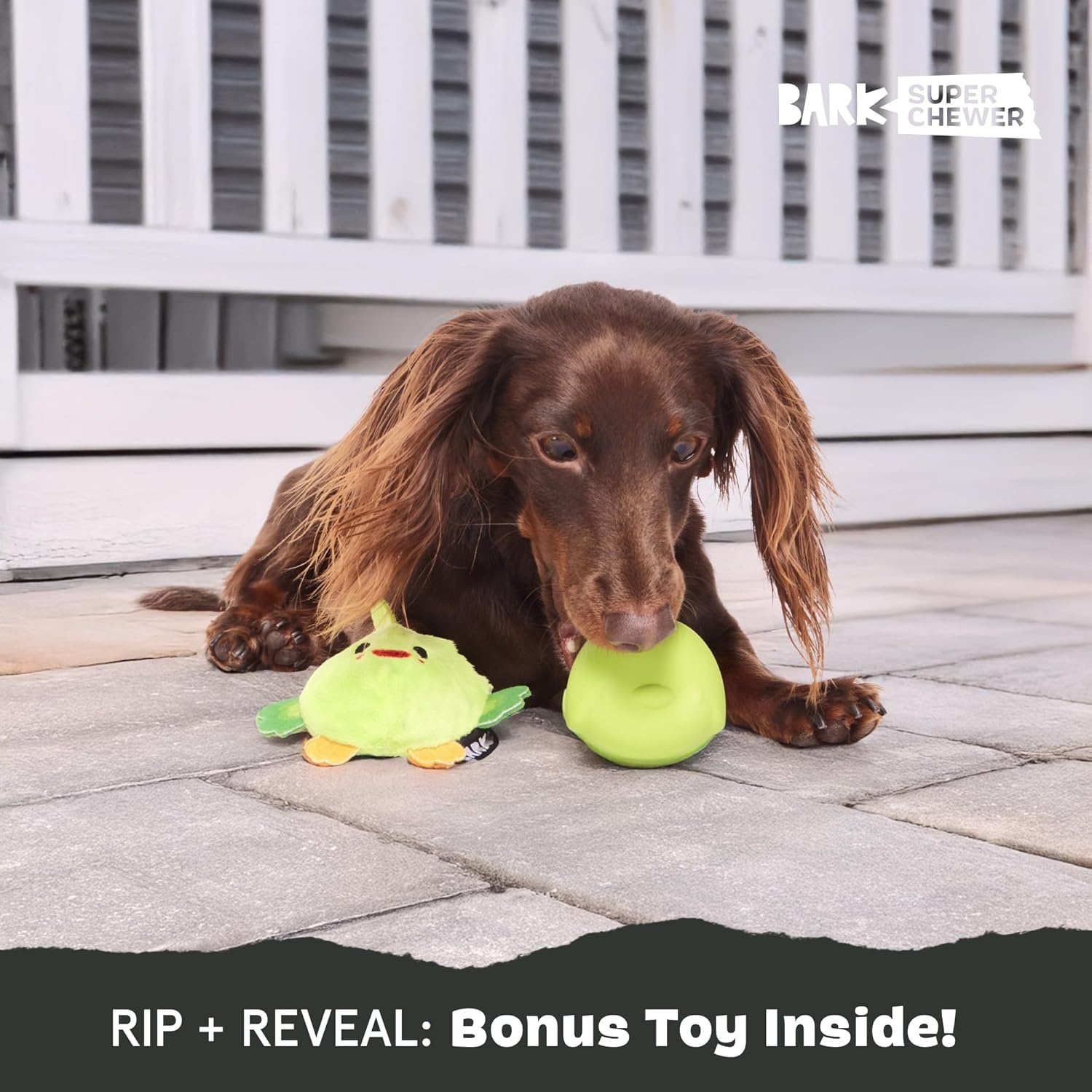 image:imageBarkbox Grateful Ted Dog Toy for Medium Dogs StrawberryScented Rip amp Reveal Toy for Determined Chewers and Interactive PlaytimePiper Parrot