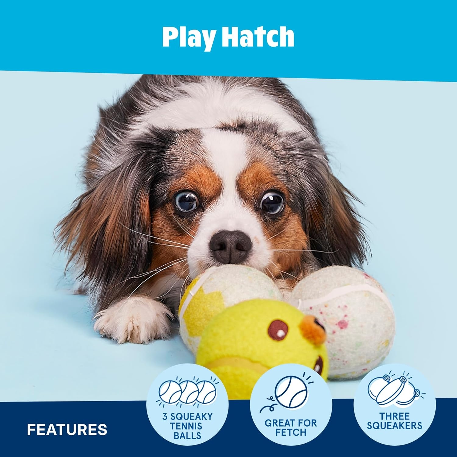 image:imageBarkbox Ballscoti Cookies Rubber Tennis Balls for Dogs amp Puppies ItalianInspired Trio of Squeaky Fetch Balls for Bounce Chase amp Play Durable Engaging amp Fun for Playful PupsPlay Hatch